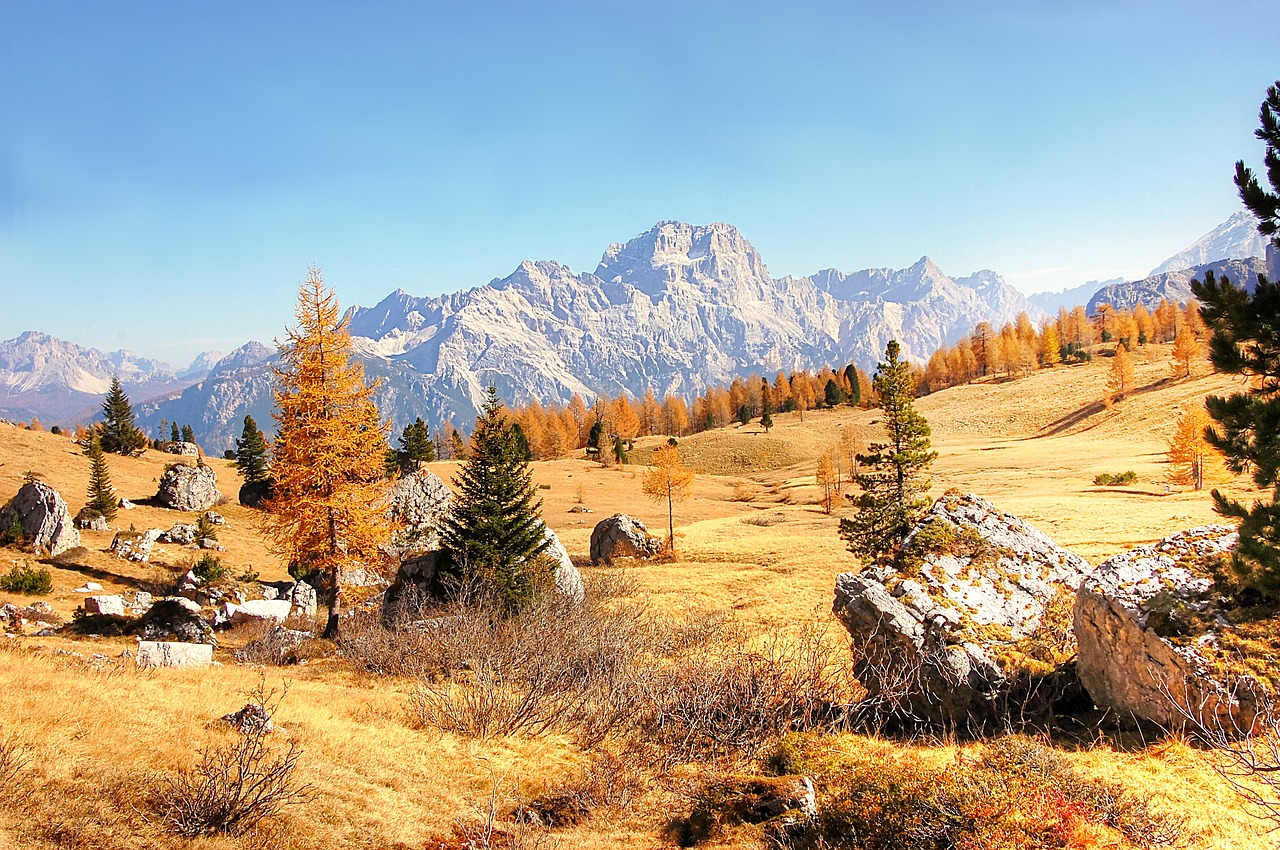 sorapis  dolomites  alm free photo