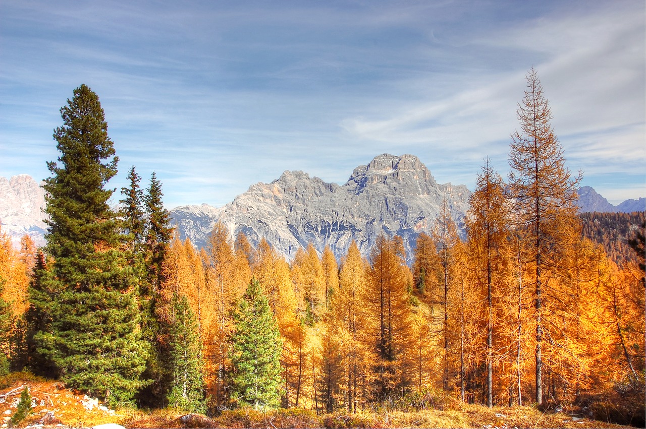 sorapis  dolomites  alm free photo