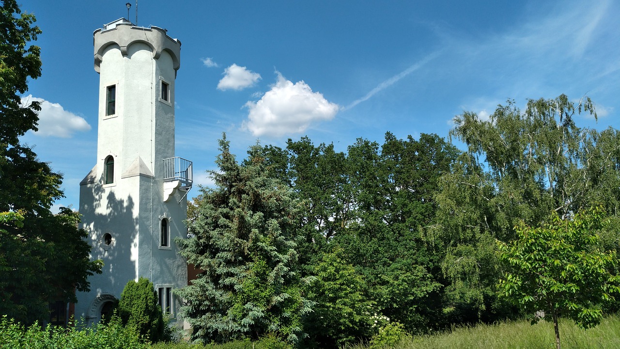 sörnewitz  observation tower  boselfelsen free photo