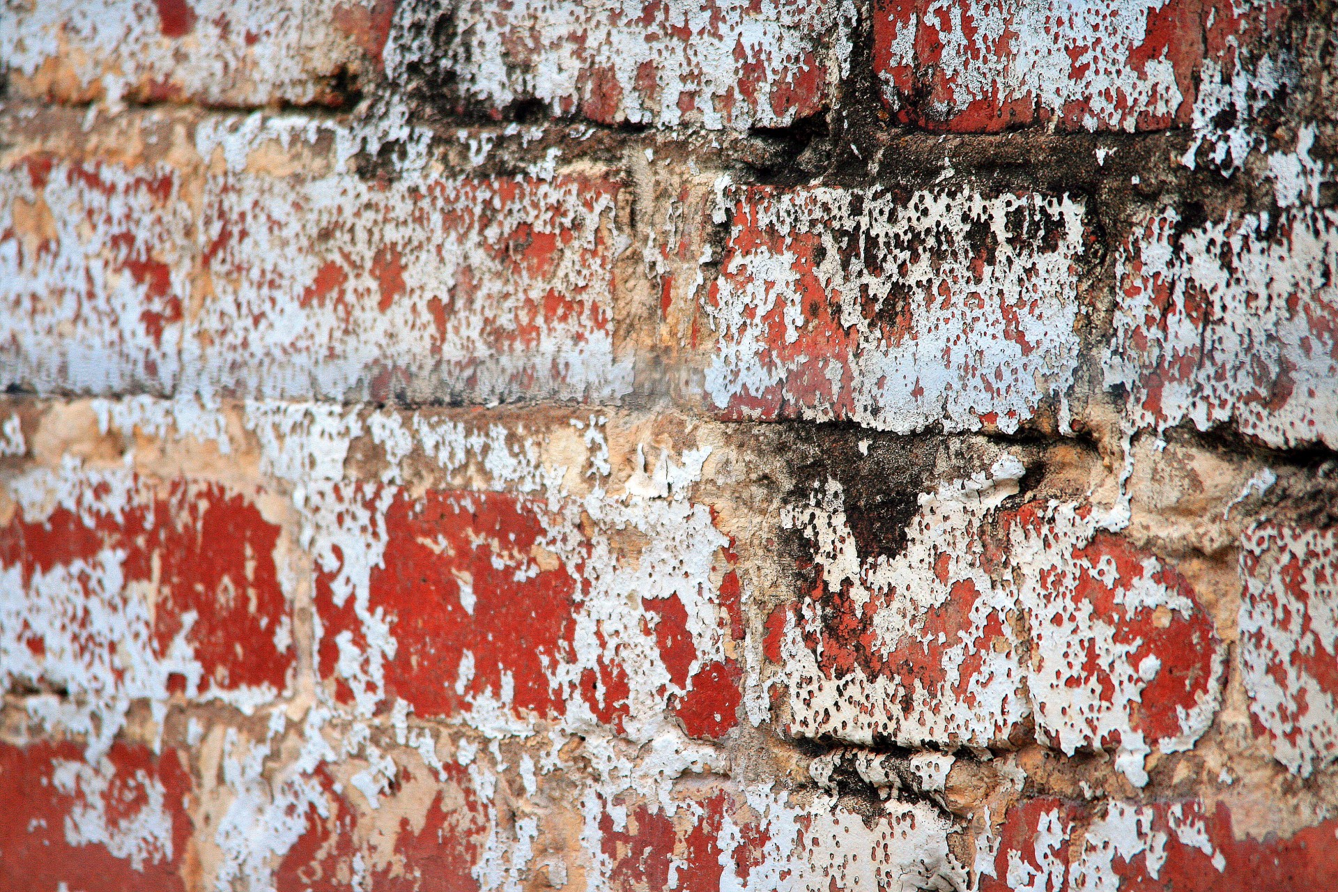 wall brick dirt free photo