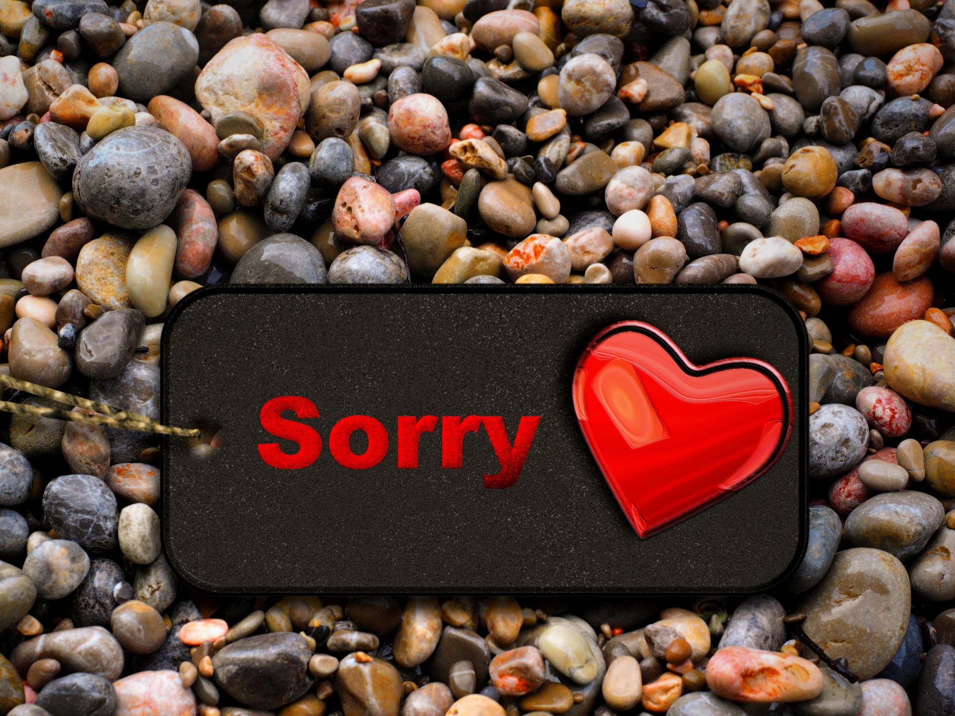 sorry apology shield free photo
