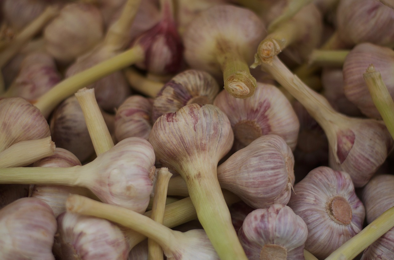 garlic food gourmet free photo