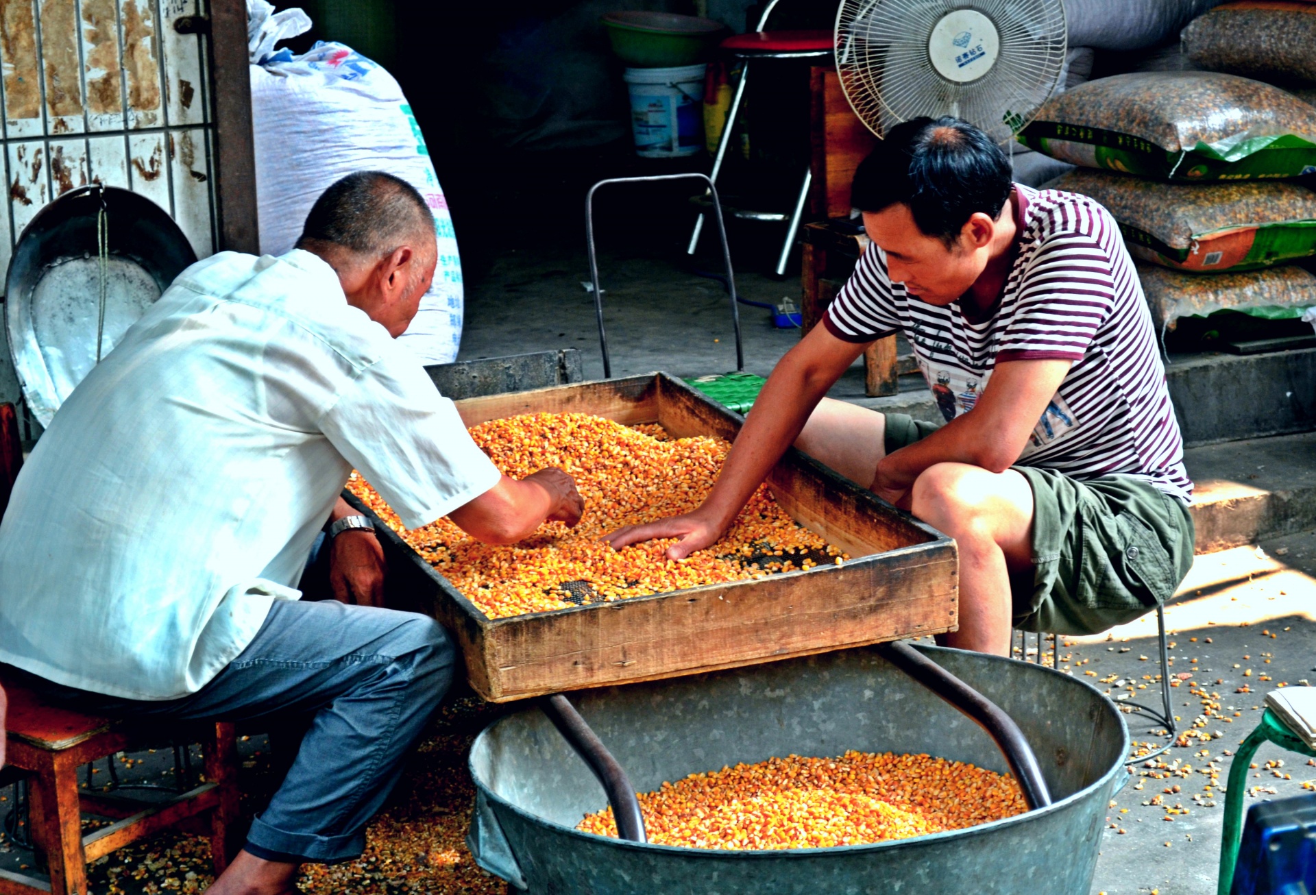 food corn people free photo