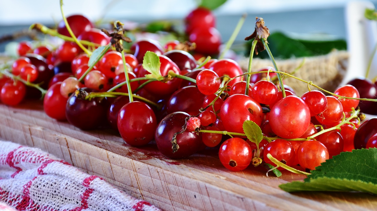 sour cherries  cherries  currants free photo