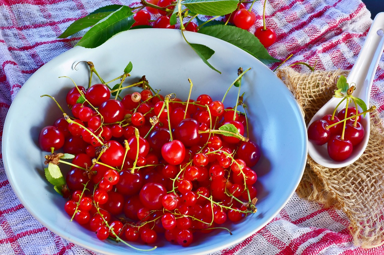 sour cherries  cherries  currants free photo