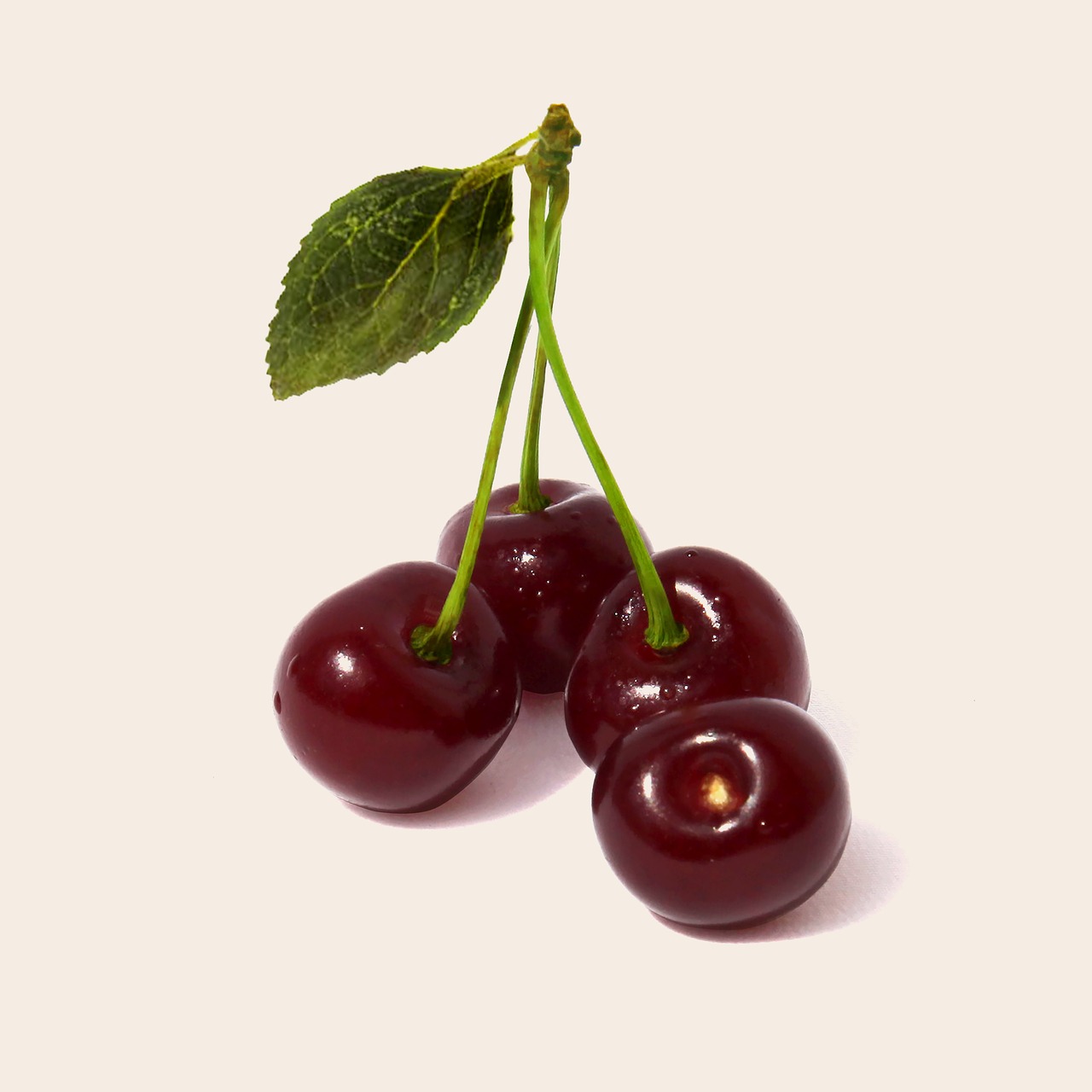 sour cherry fruit health free photo
