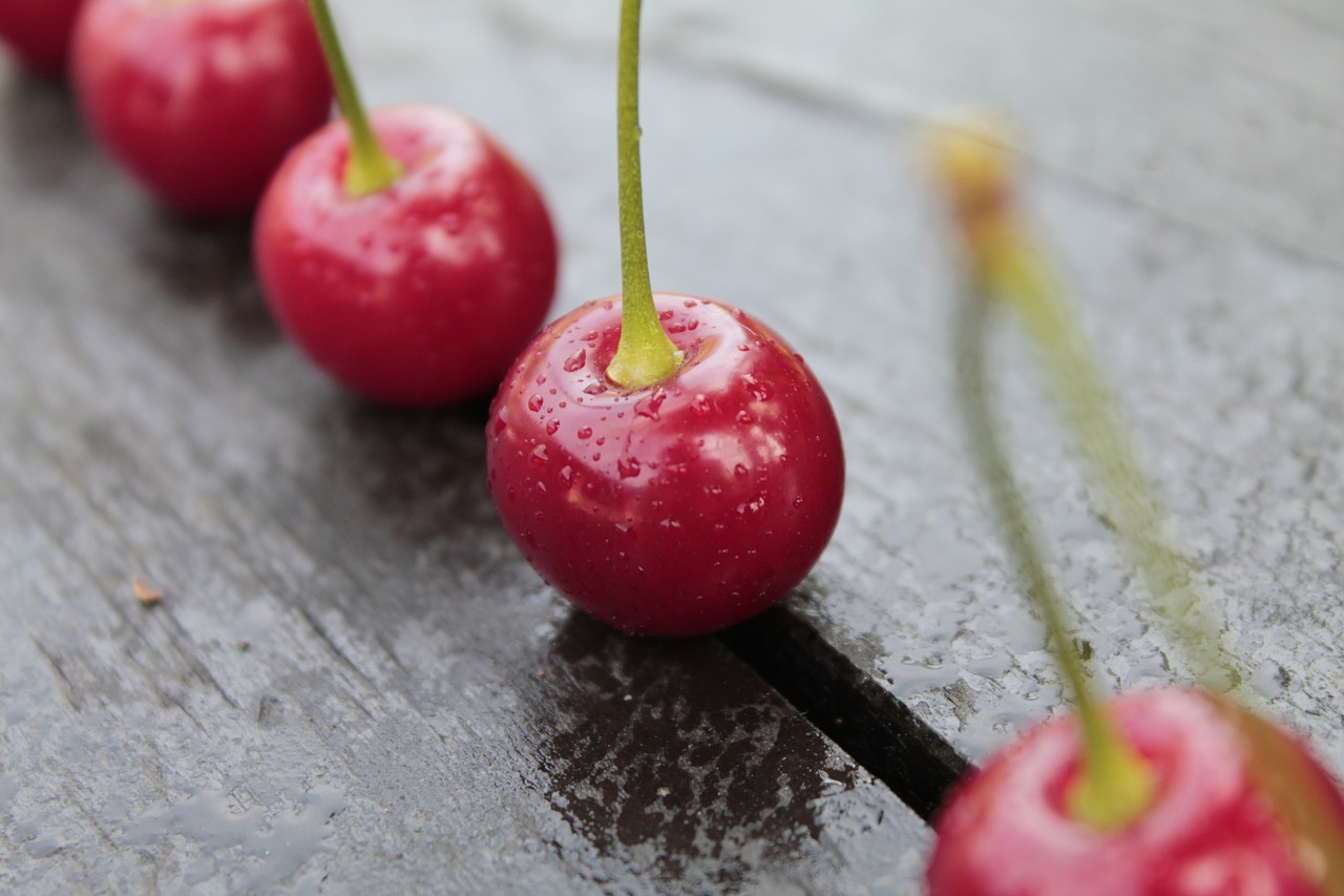 sour cherry meggyek fruit free photo