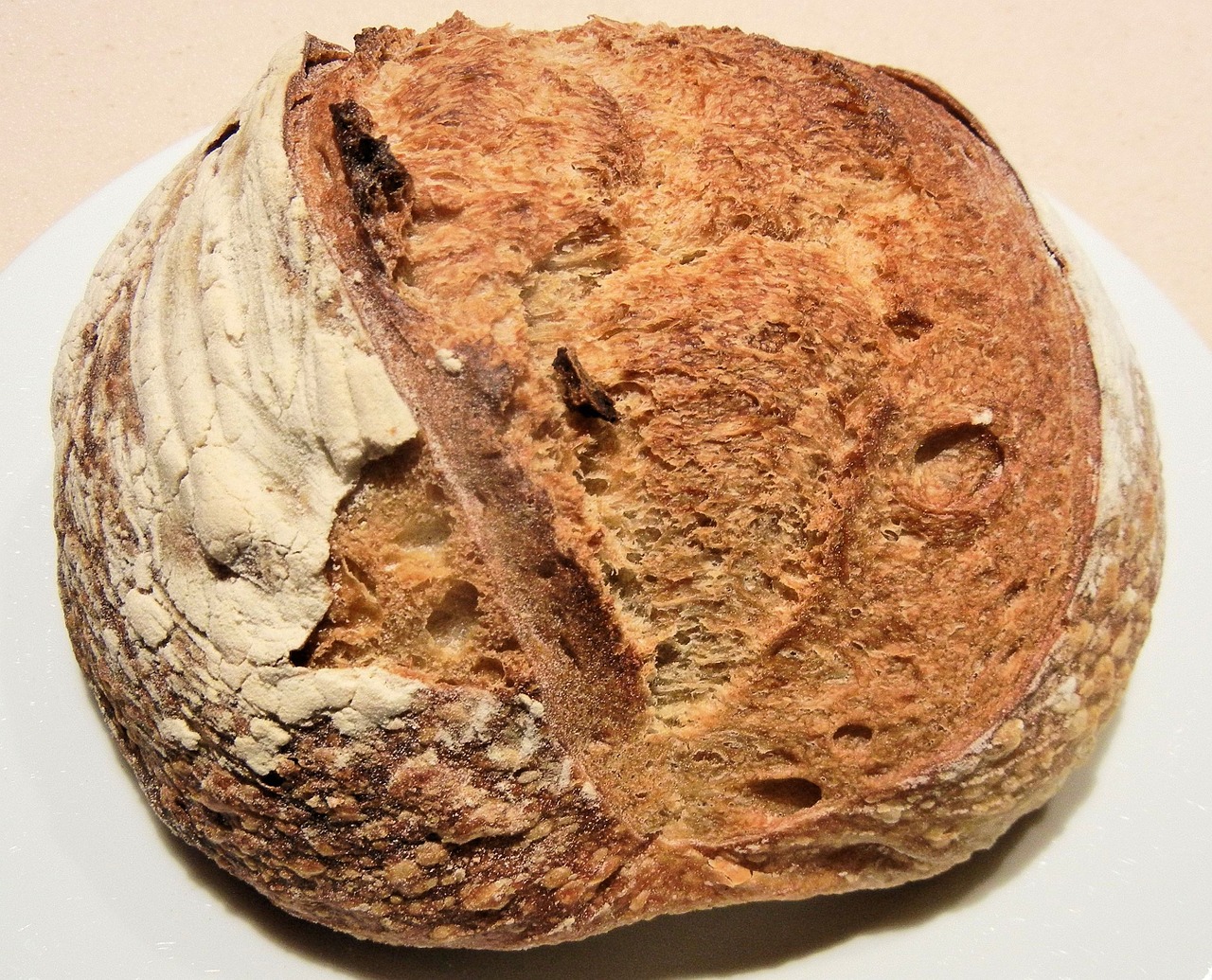 sour dough rustic bread free photo