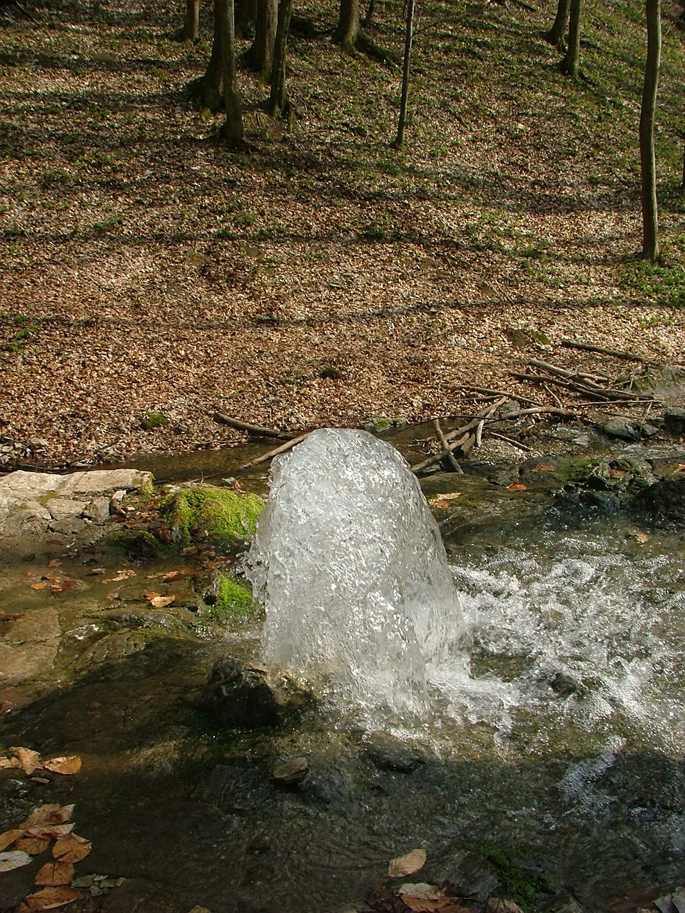 source spring water free photo