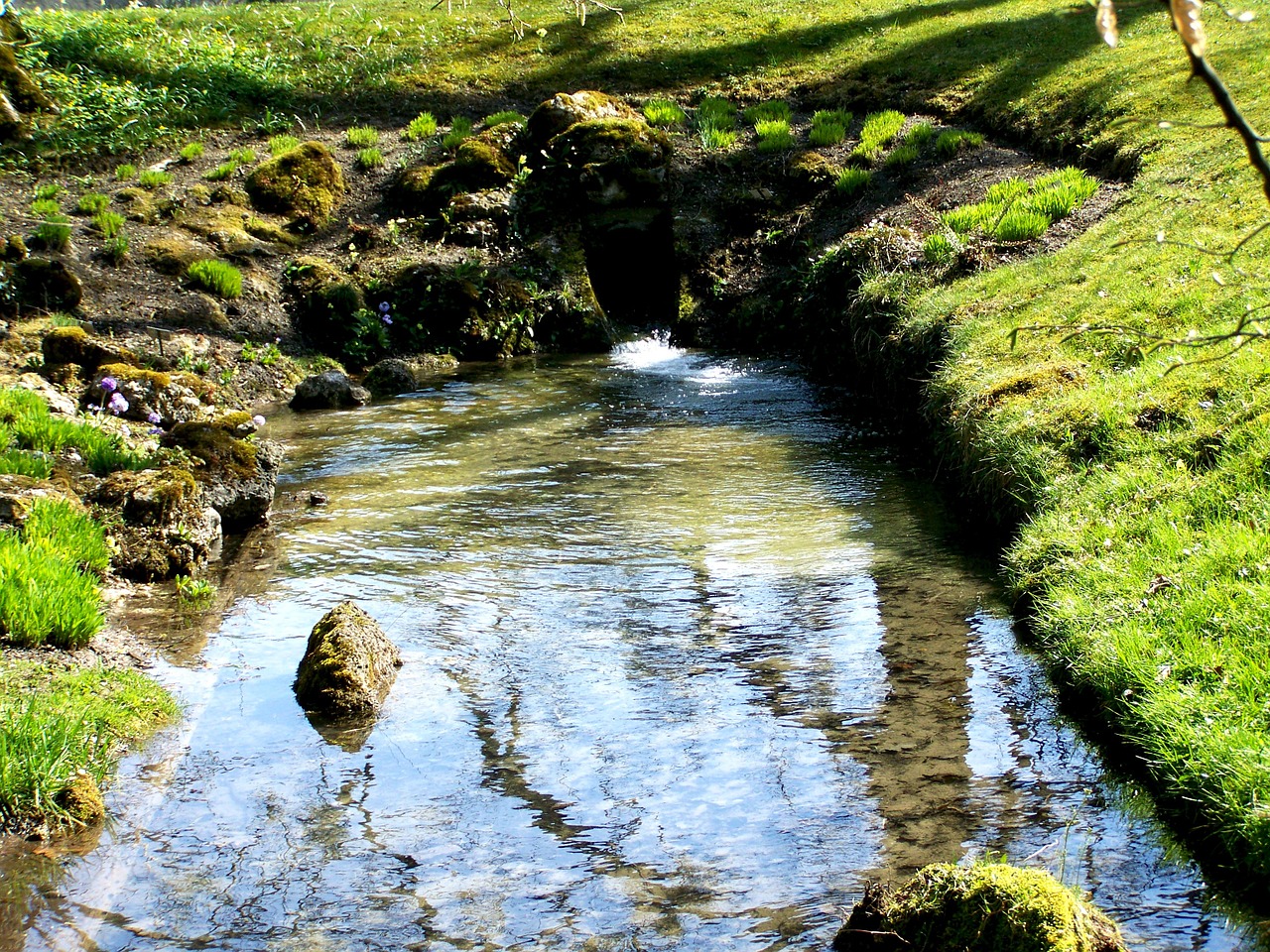 source stream nature free photo