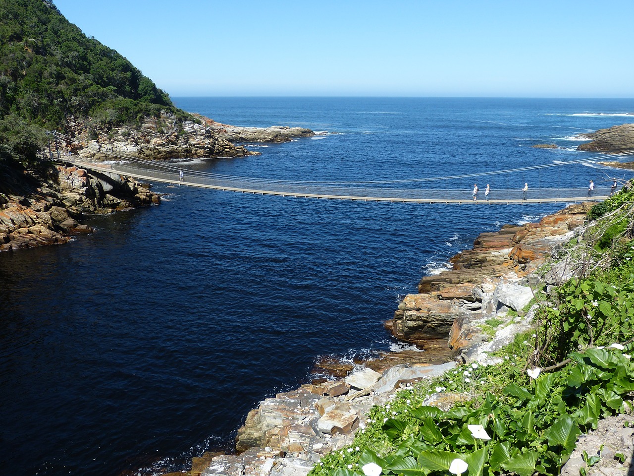 south africa garden route river free photo