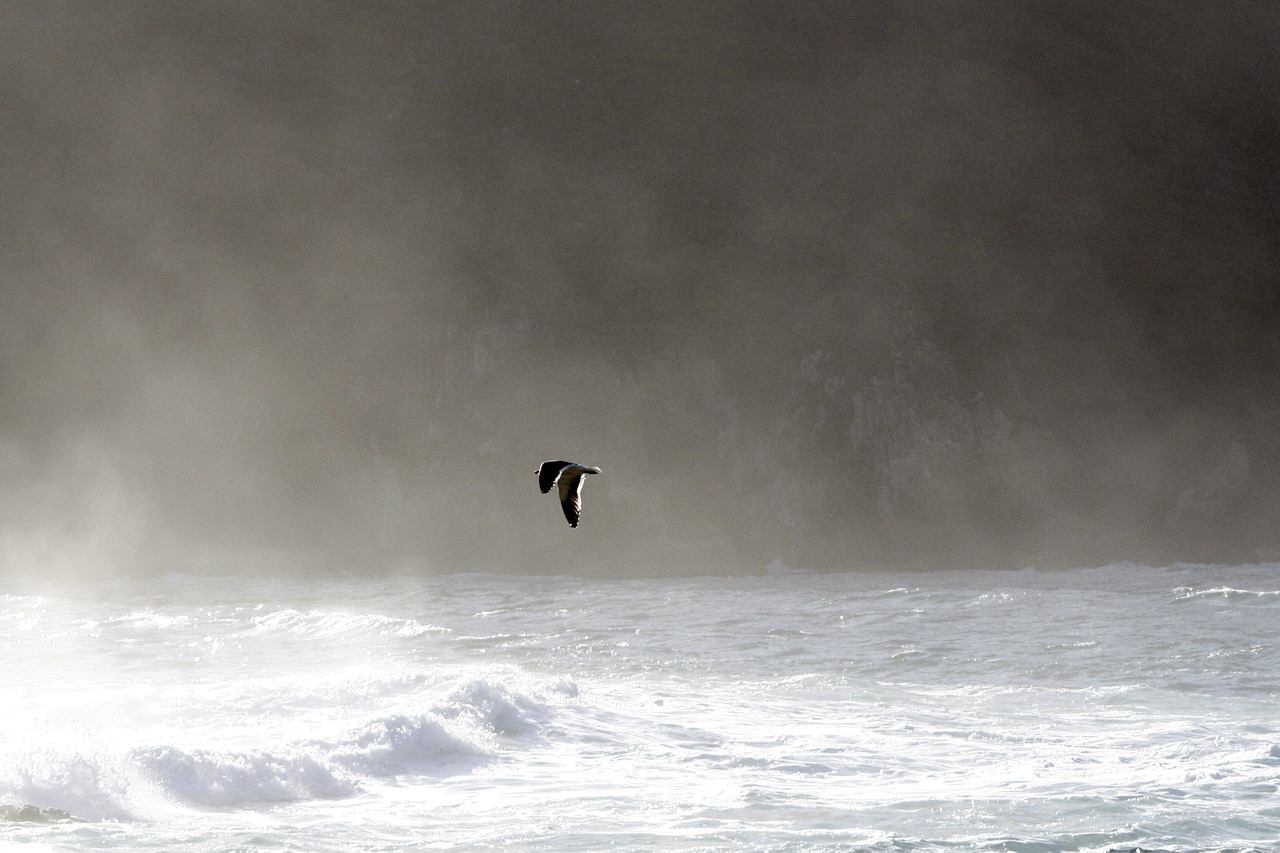 south africa kynsna heads seascape free photo