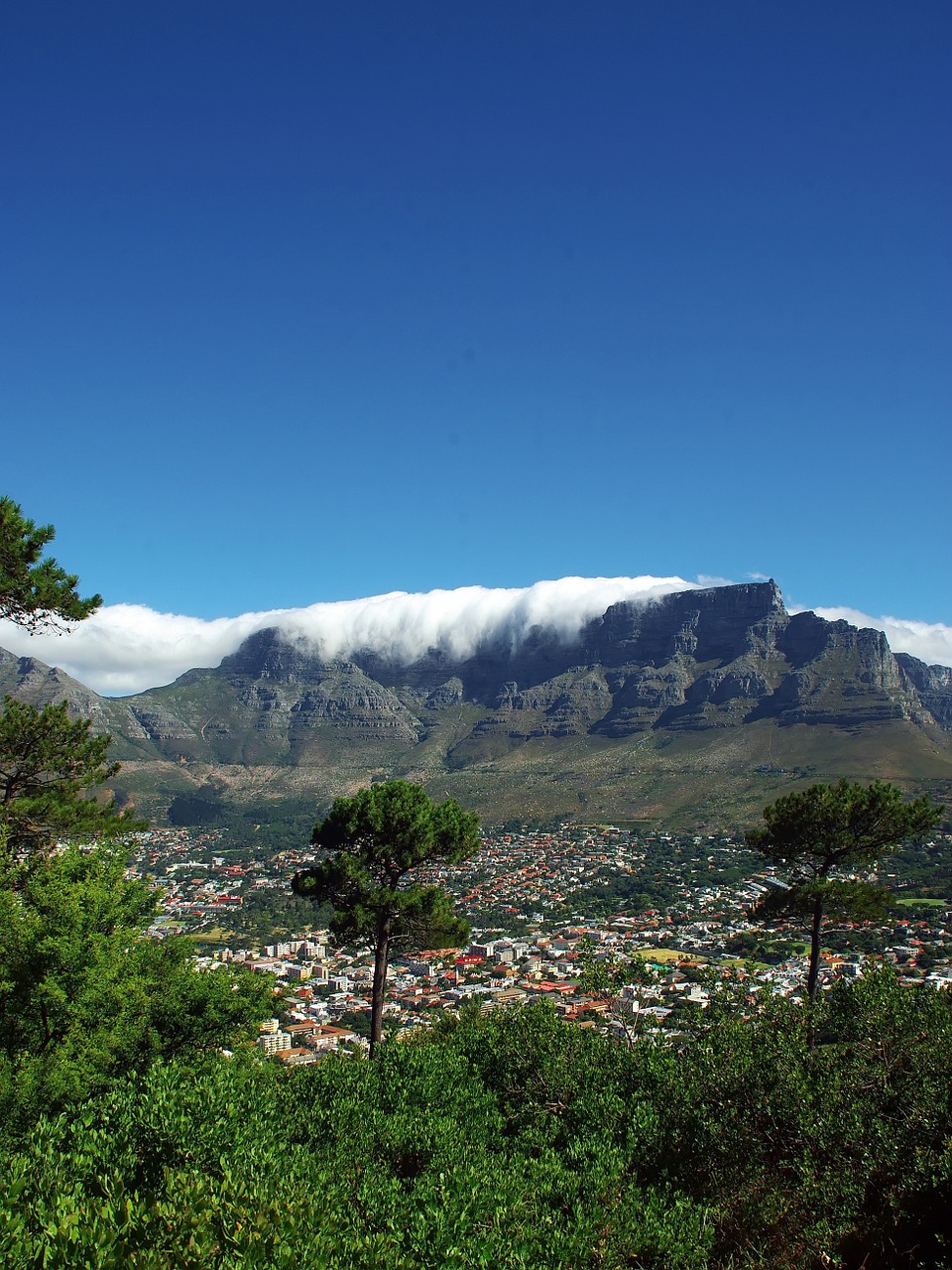 south africa the cap mountain free photo