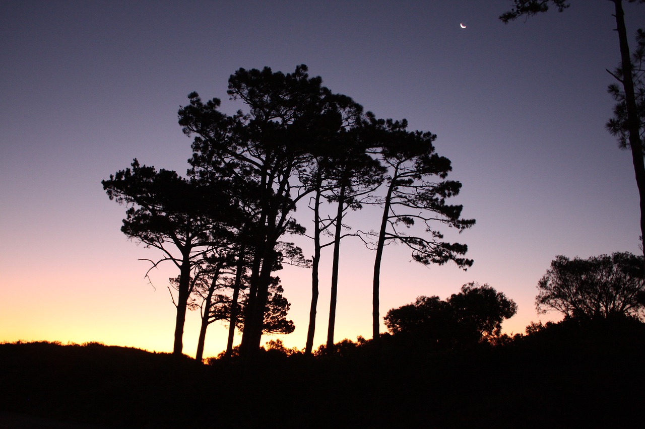 south africa cape town sky free photo