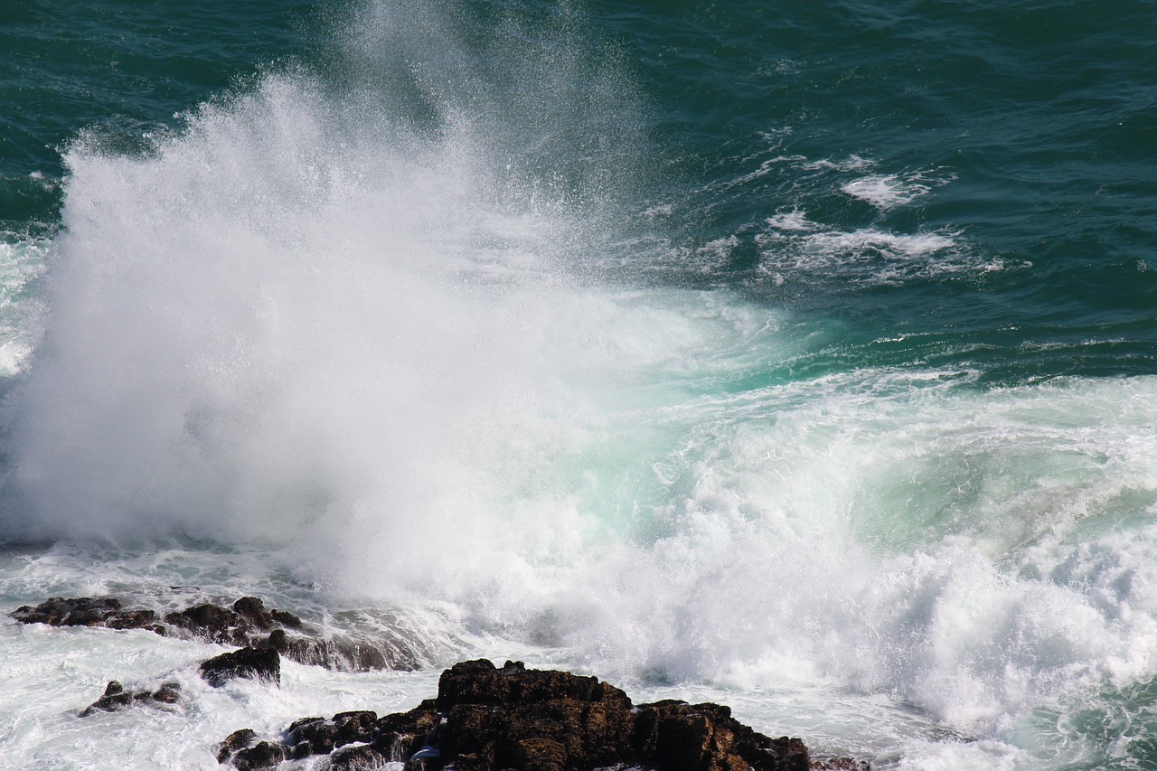 sea south africa knysna free photo