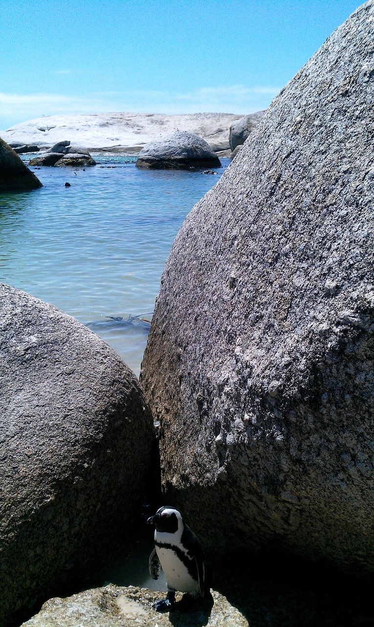 south africa stones beach free photo