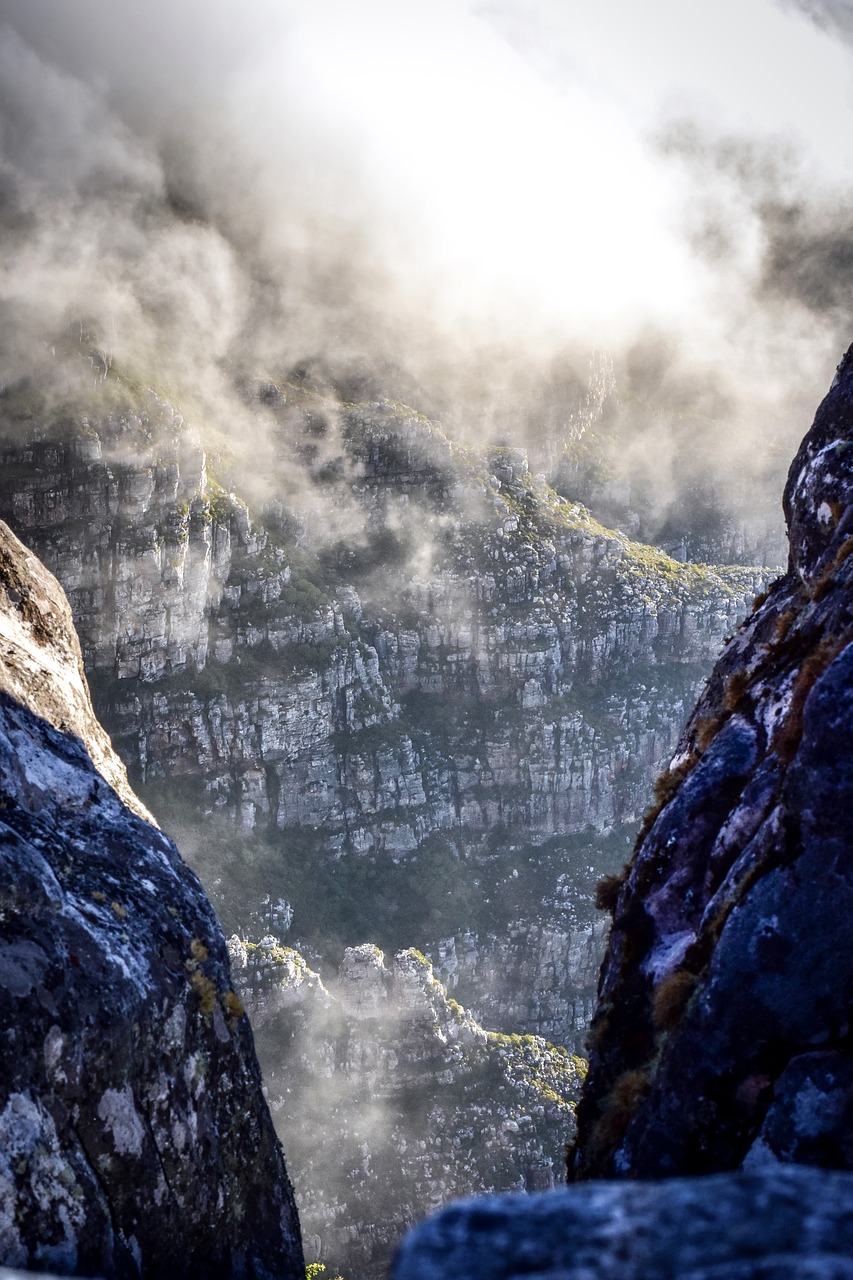 south africa table mountain nature free photo