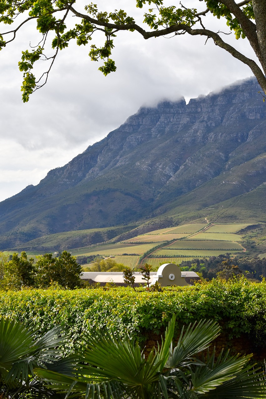 south africa  franschhoek  nature free photo