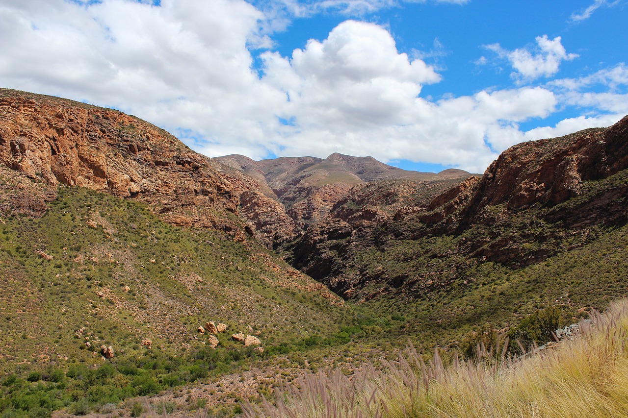 south africa  nature  mountains free photo