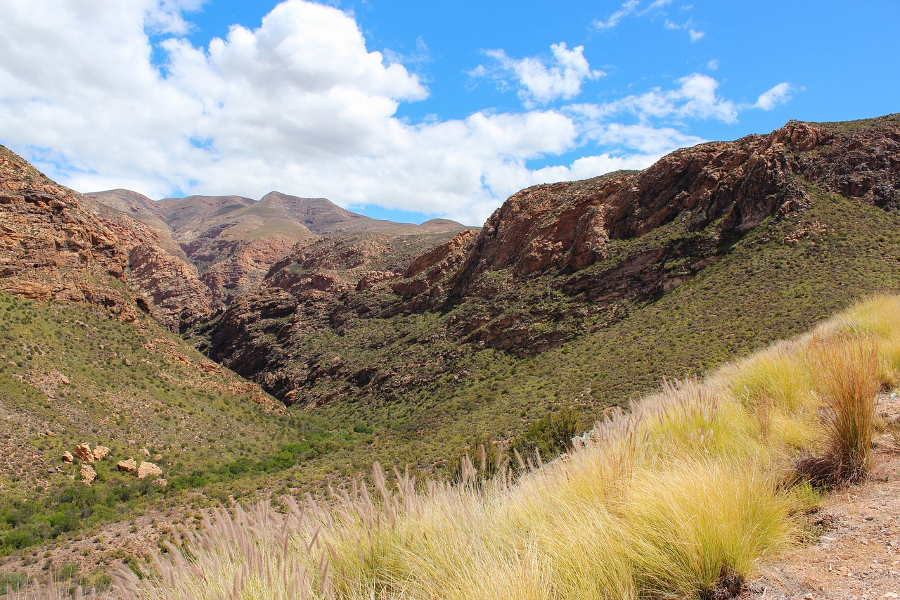 south africa  nature  mountains free photo