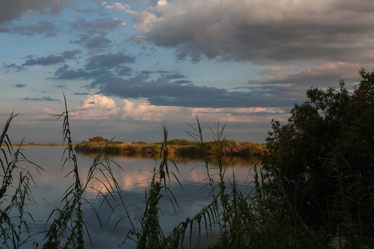 south africa  mood  sky free photo