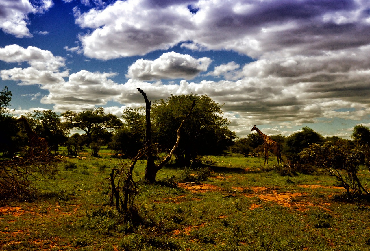 south africa landscape cloud free photo