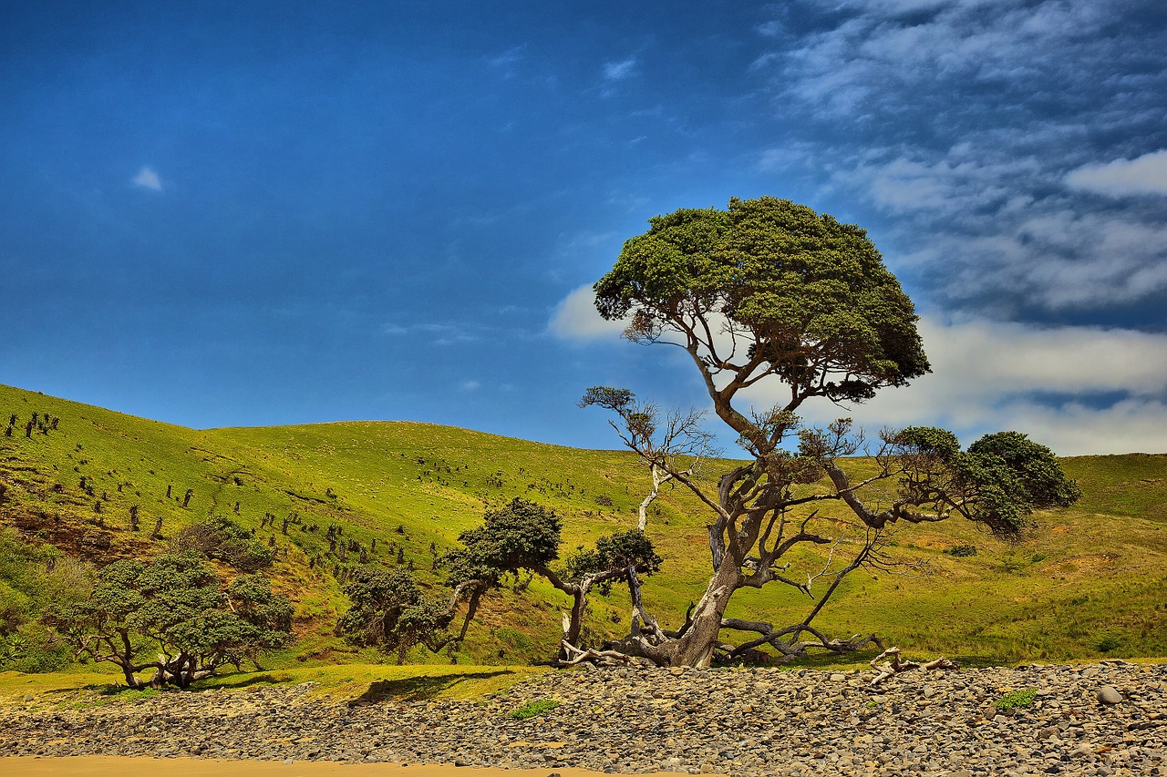 south africa coffee bay hole in the wall free photo