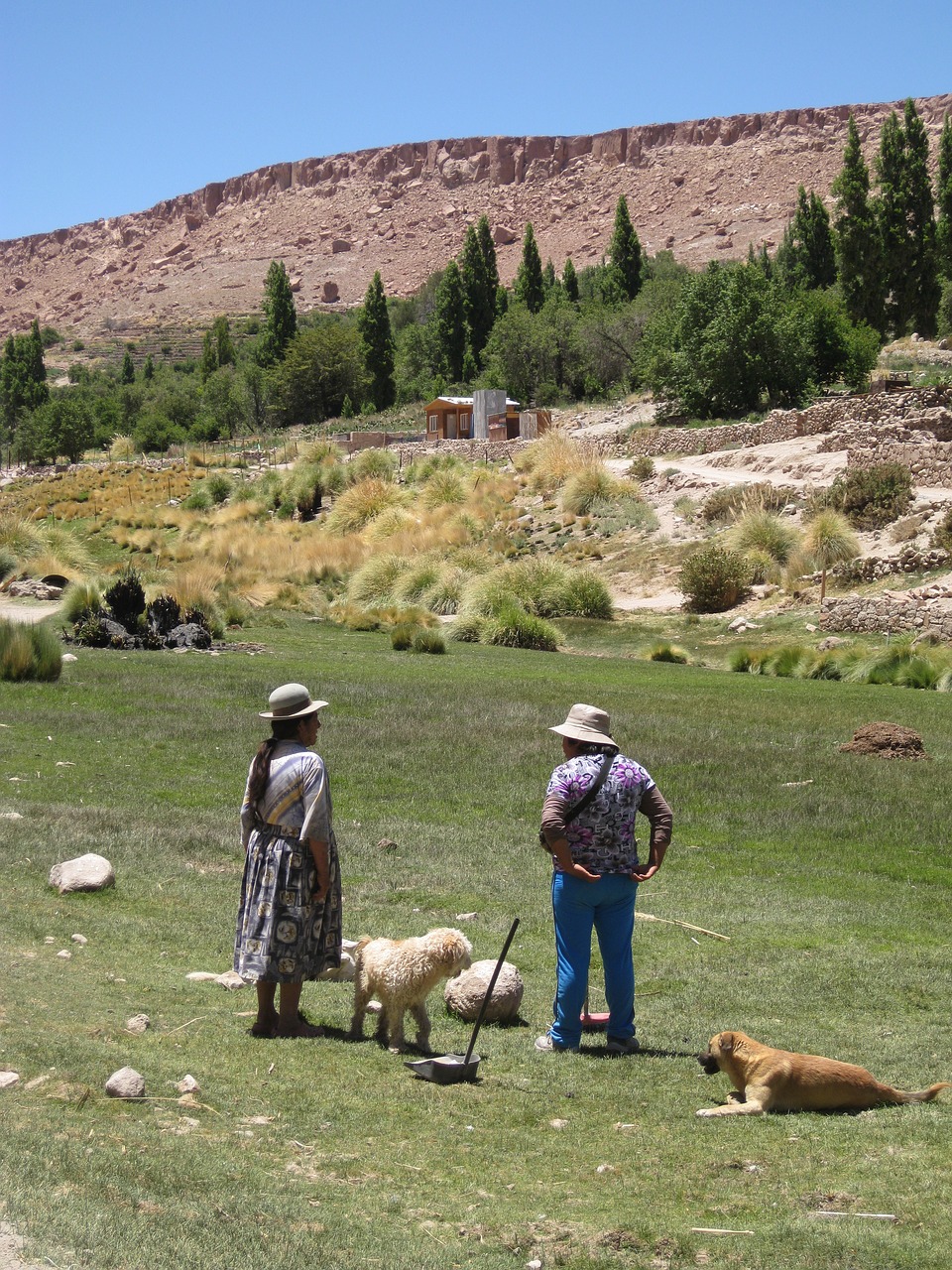 south america  chile  nature free photo