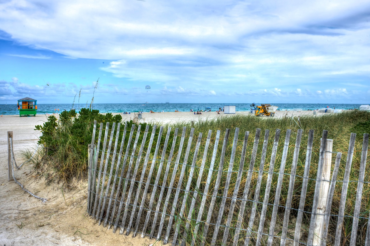 south beach sand fence free photo