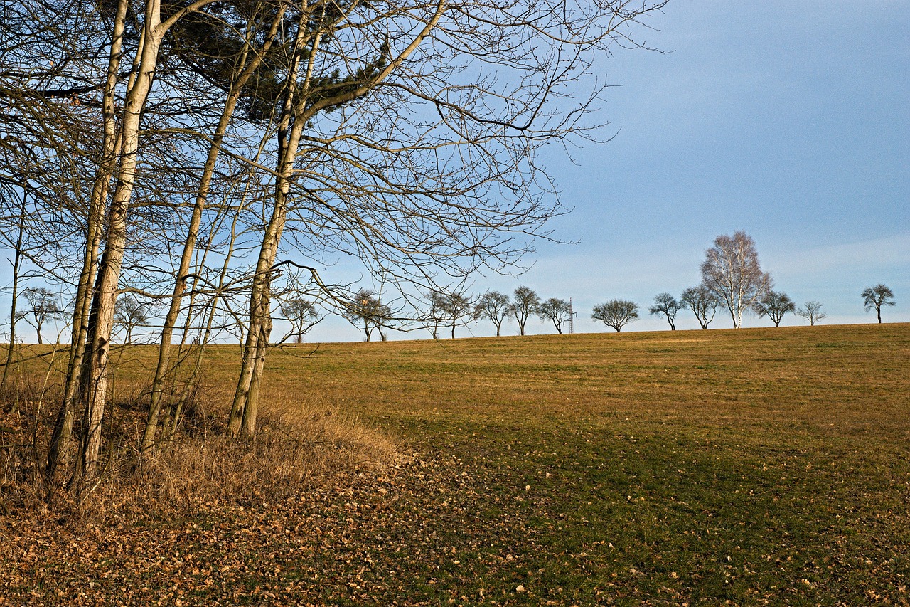 south bohemia landscape early spring free photo