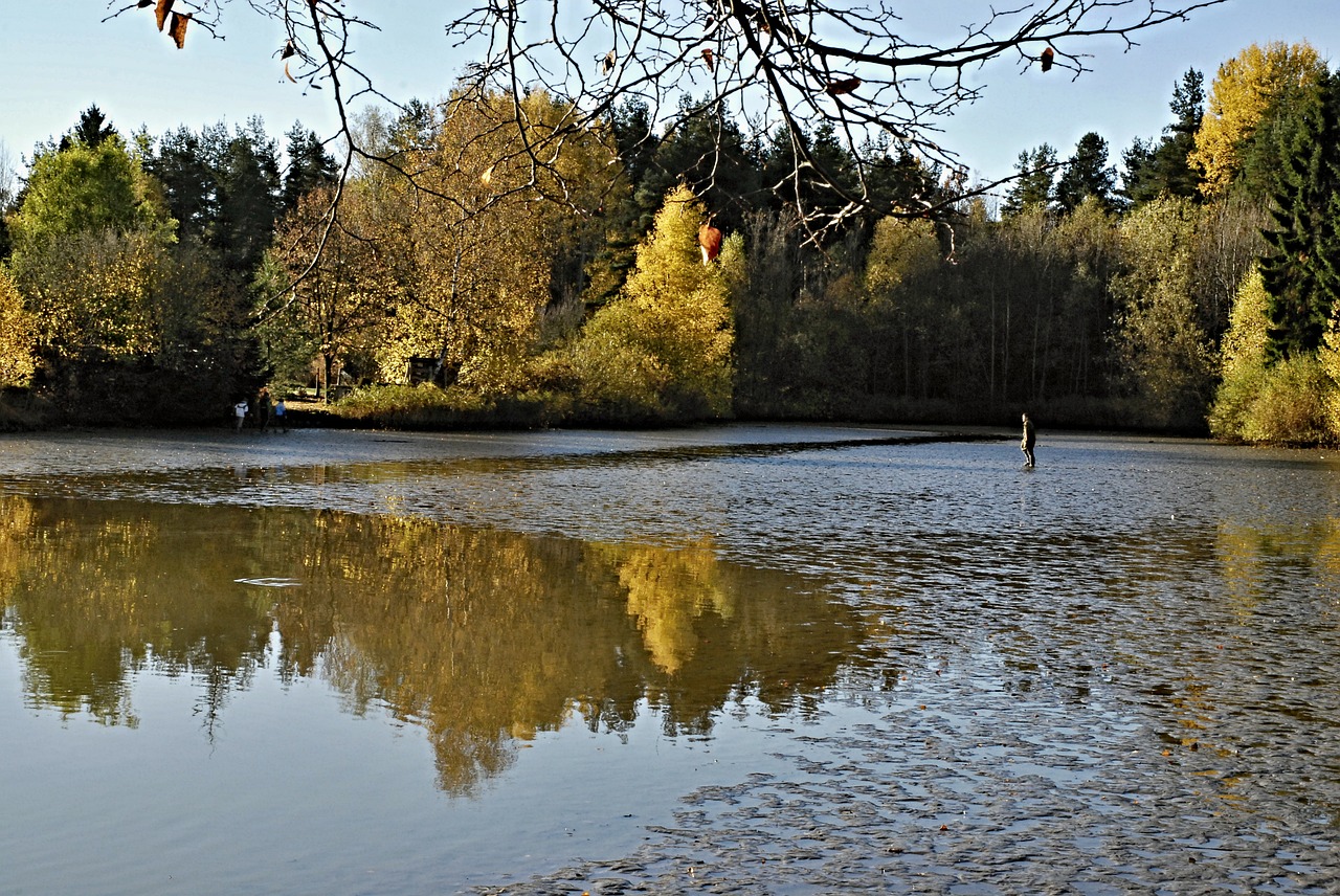south bohemia harvesting pond free photo