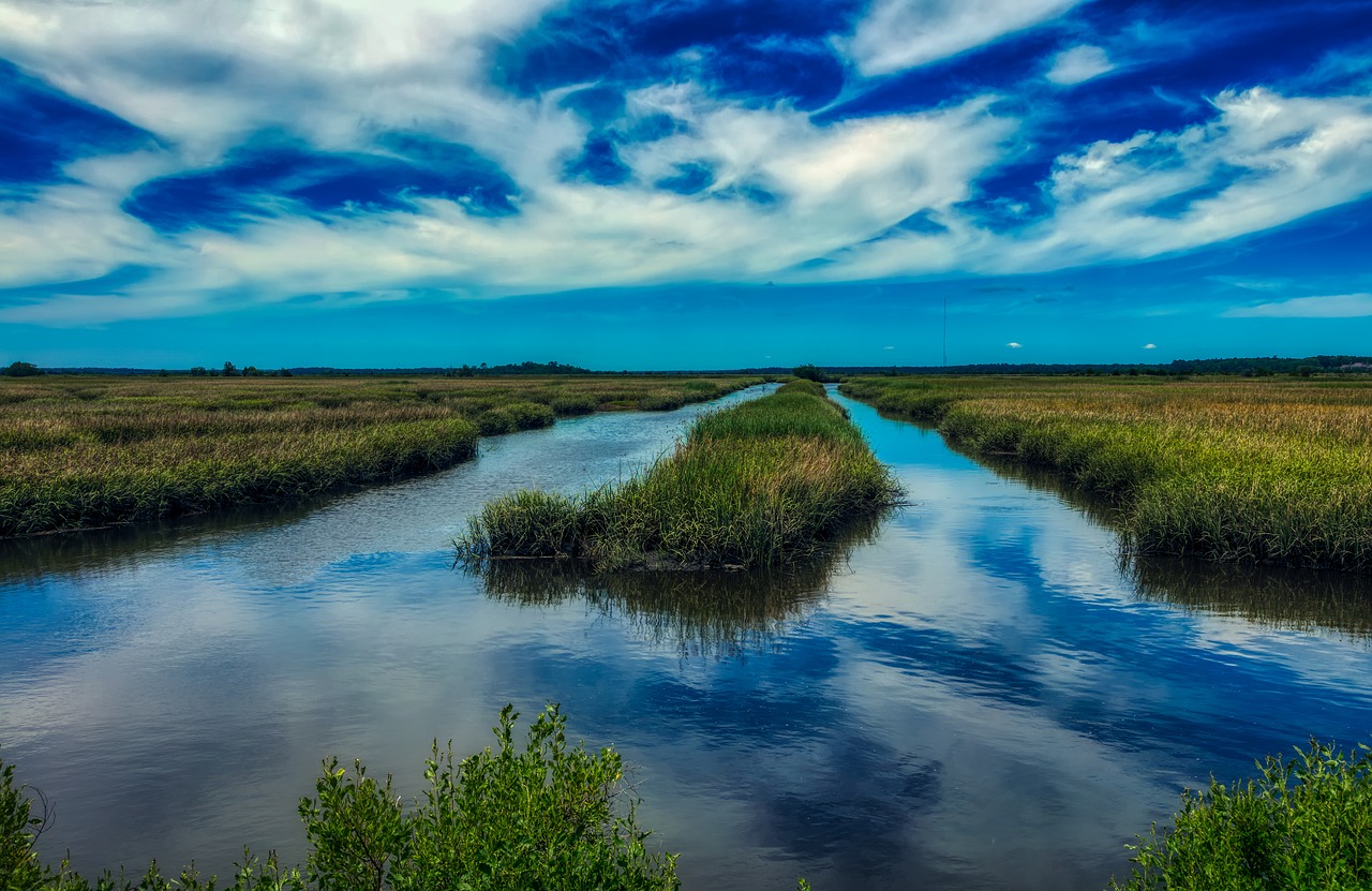 south carolina  america  marsh free photo