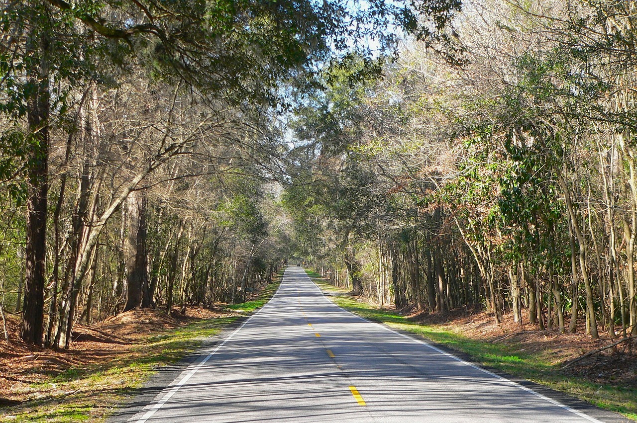 south carolina country countryside free photo