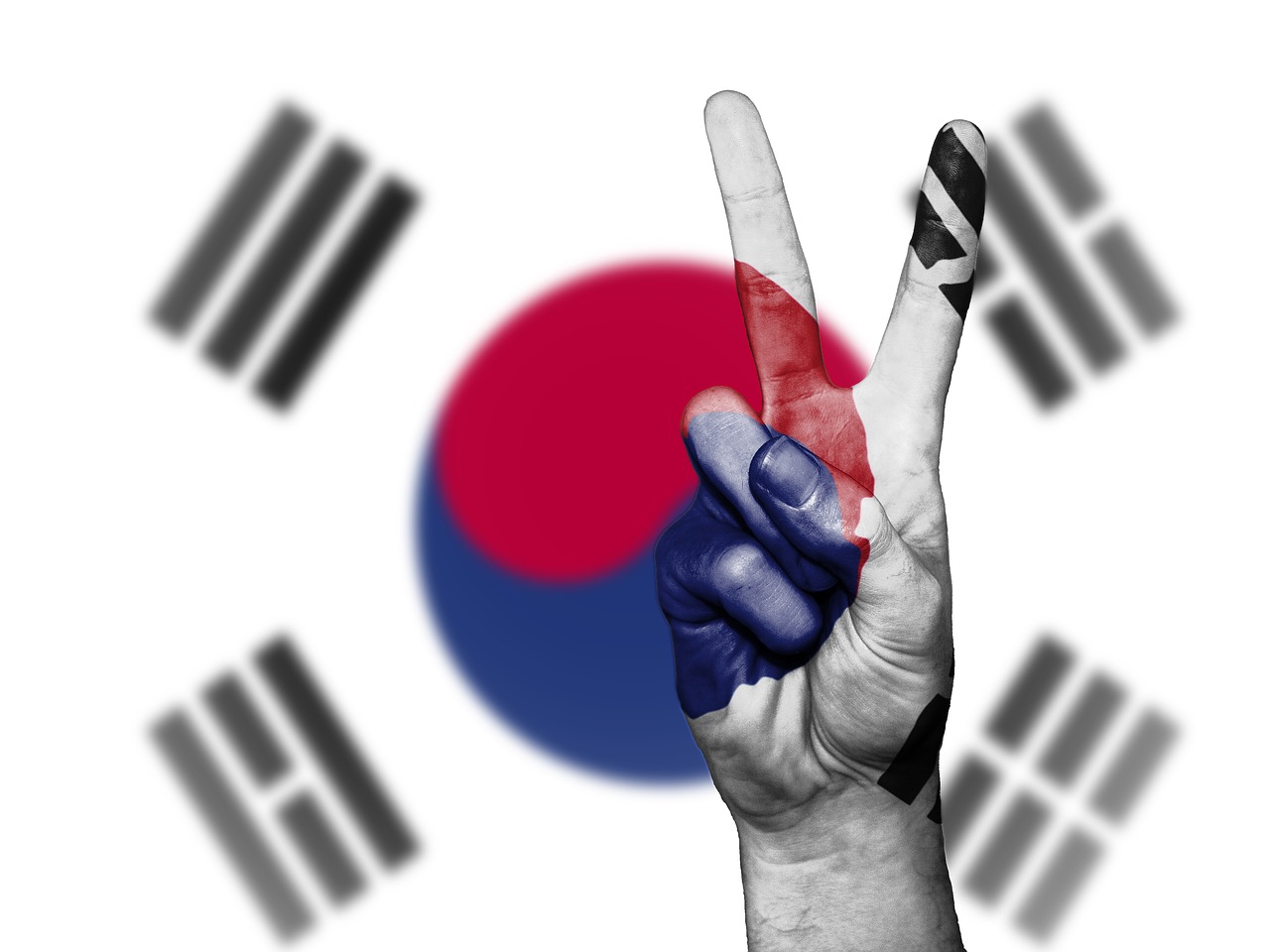 south korea south korea free photo
