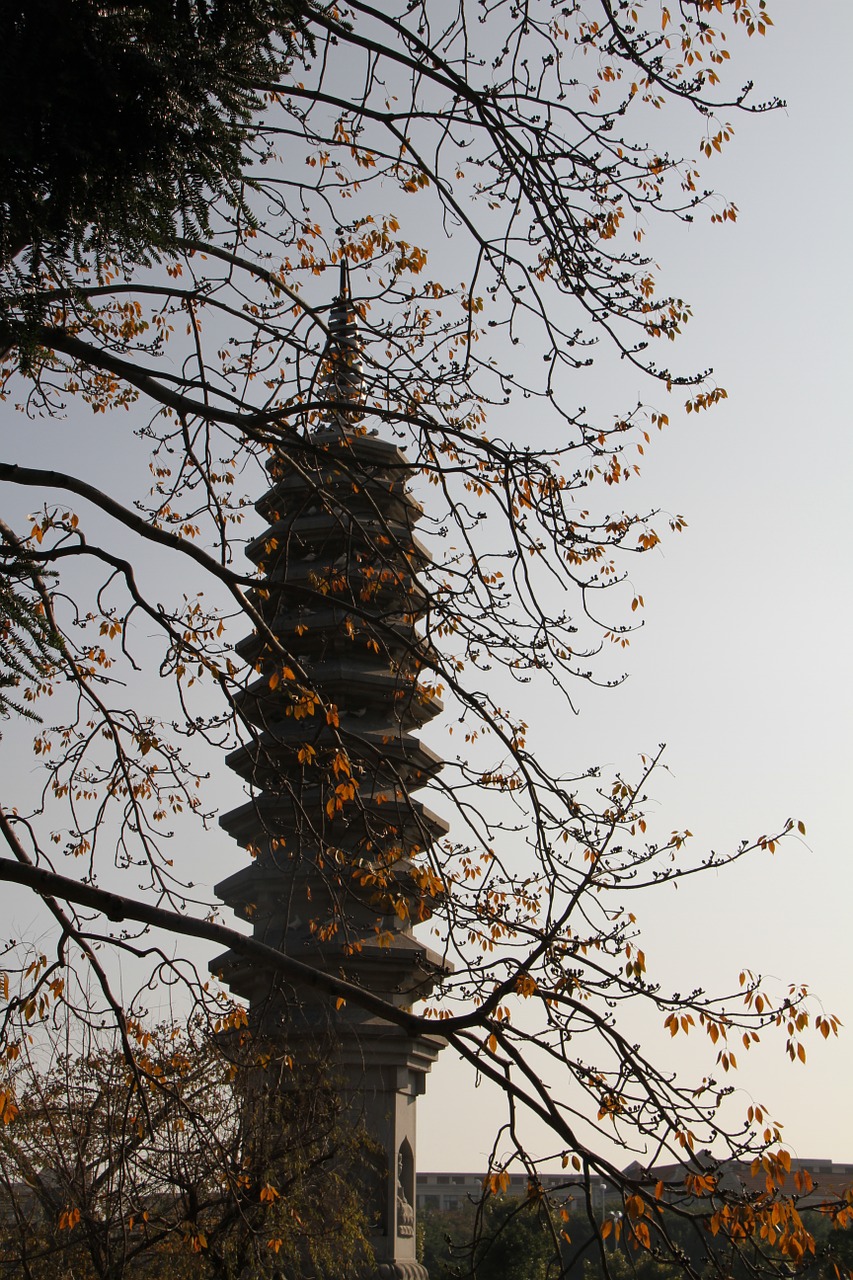south putuo temple small fresh autumn free photo