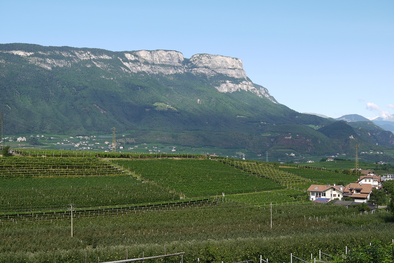 south tyrol vineyards mountains free photo