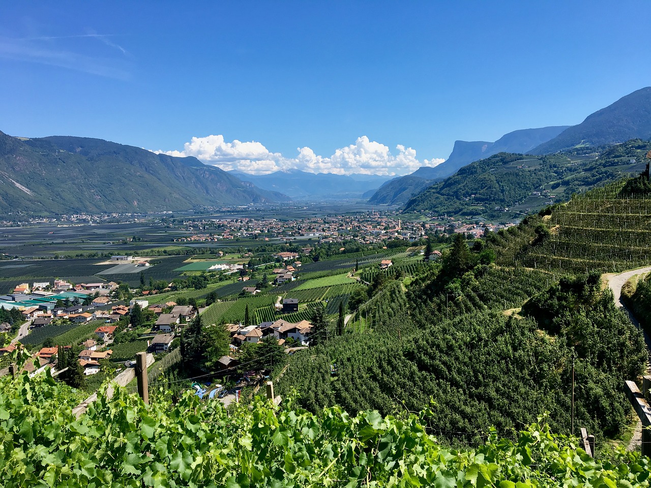 south tyrol  panorama  meran free photo