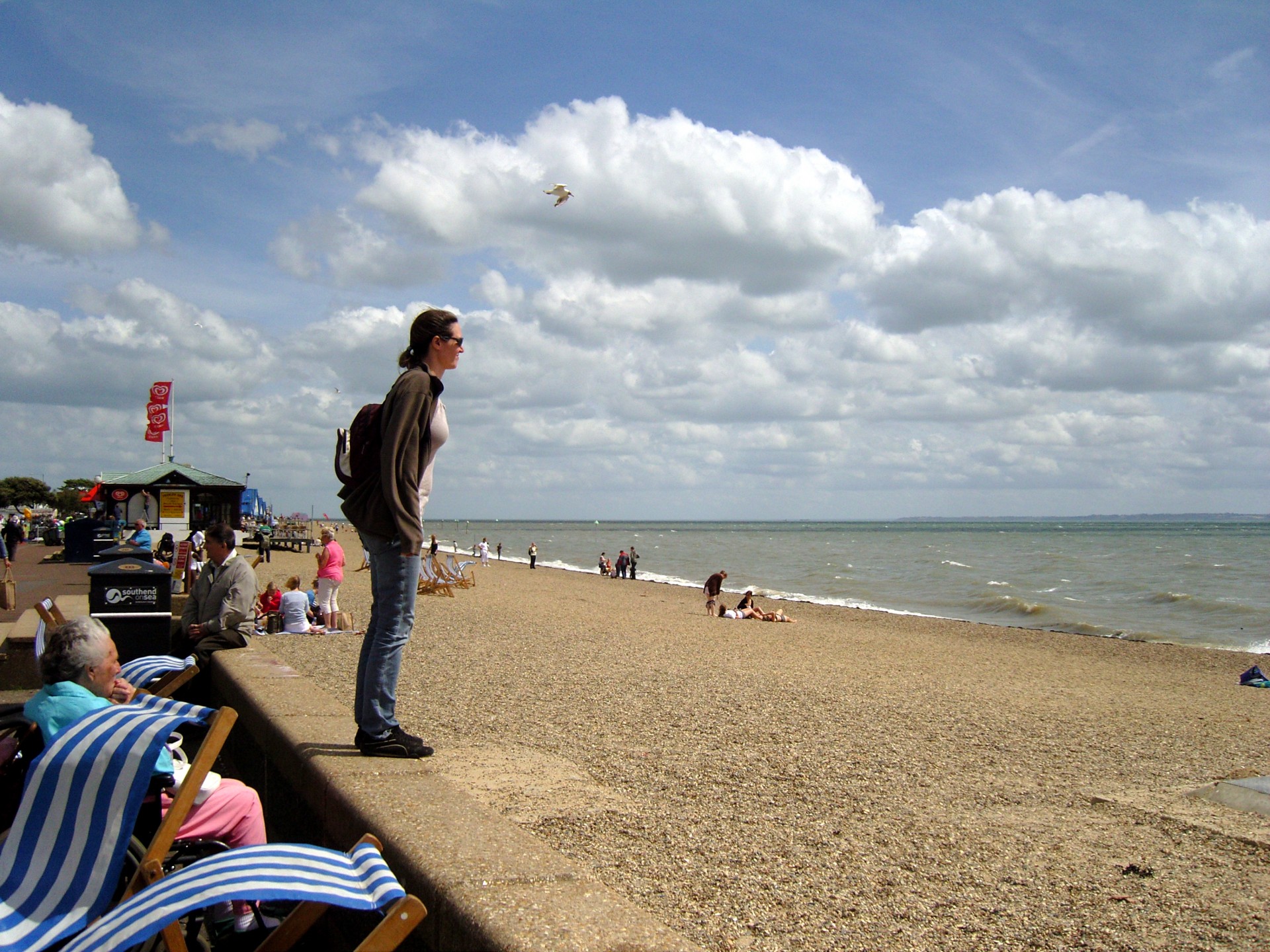 sea tourists beach free photo