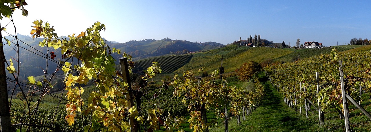 southern styria styria wine free photo