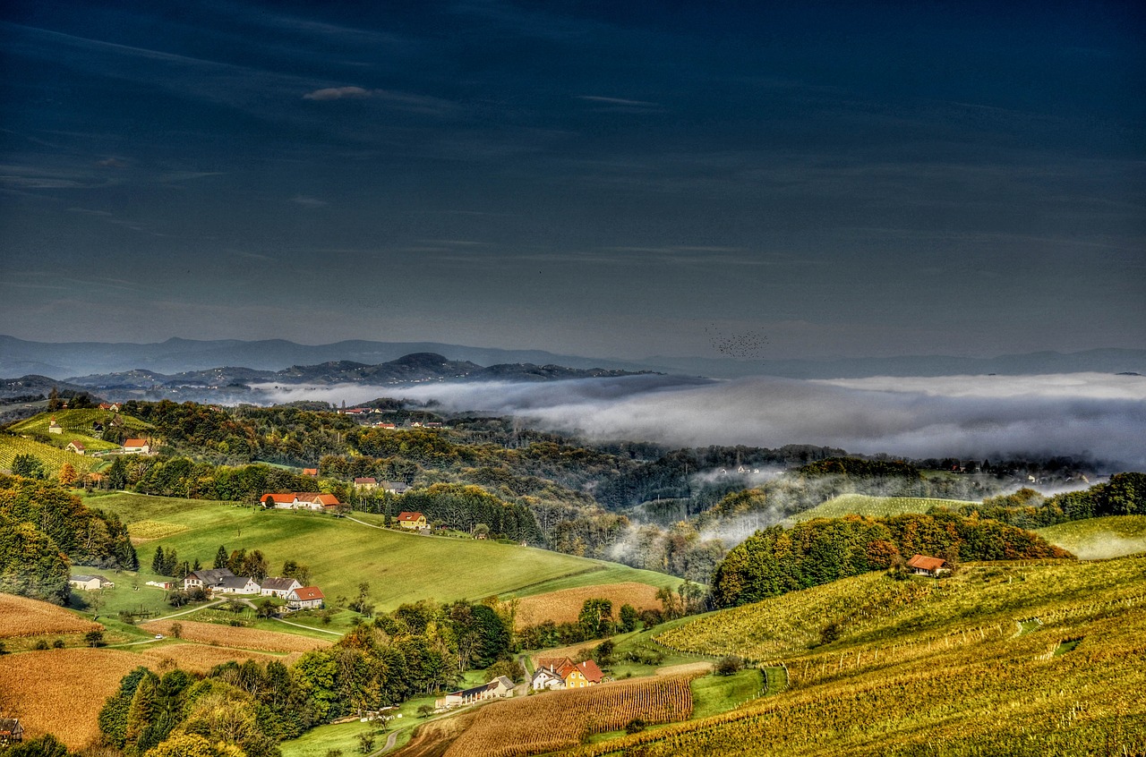 southern styria wine vine free photo