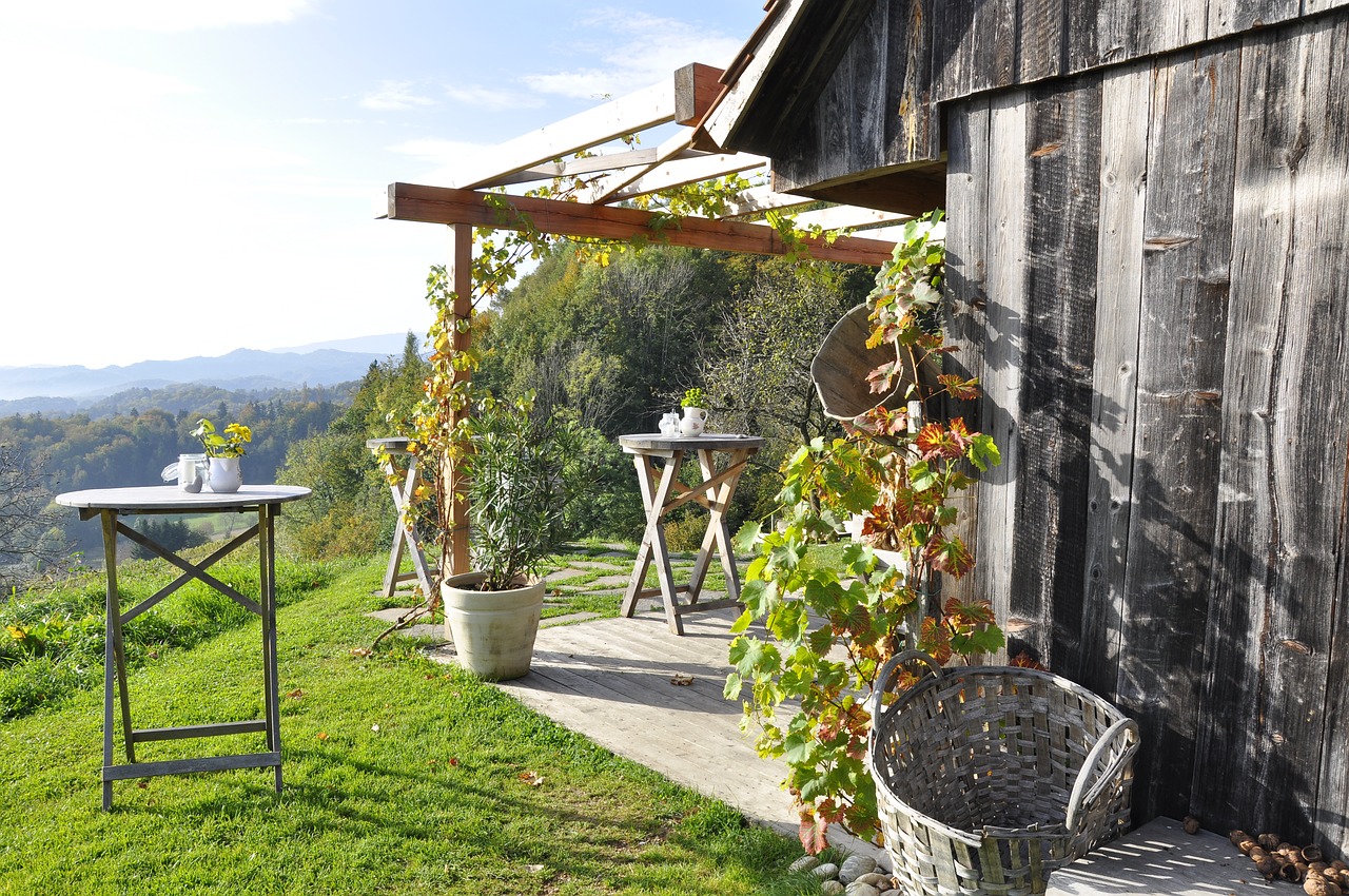 southern styria wine autumn free photo