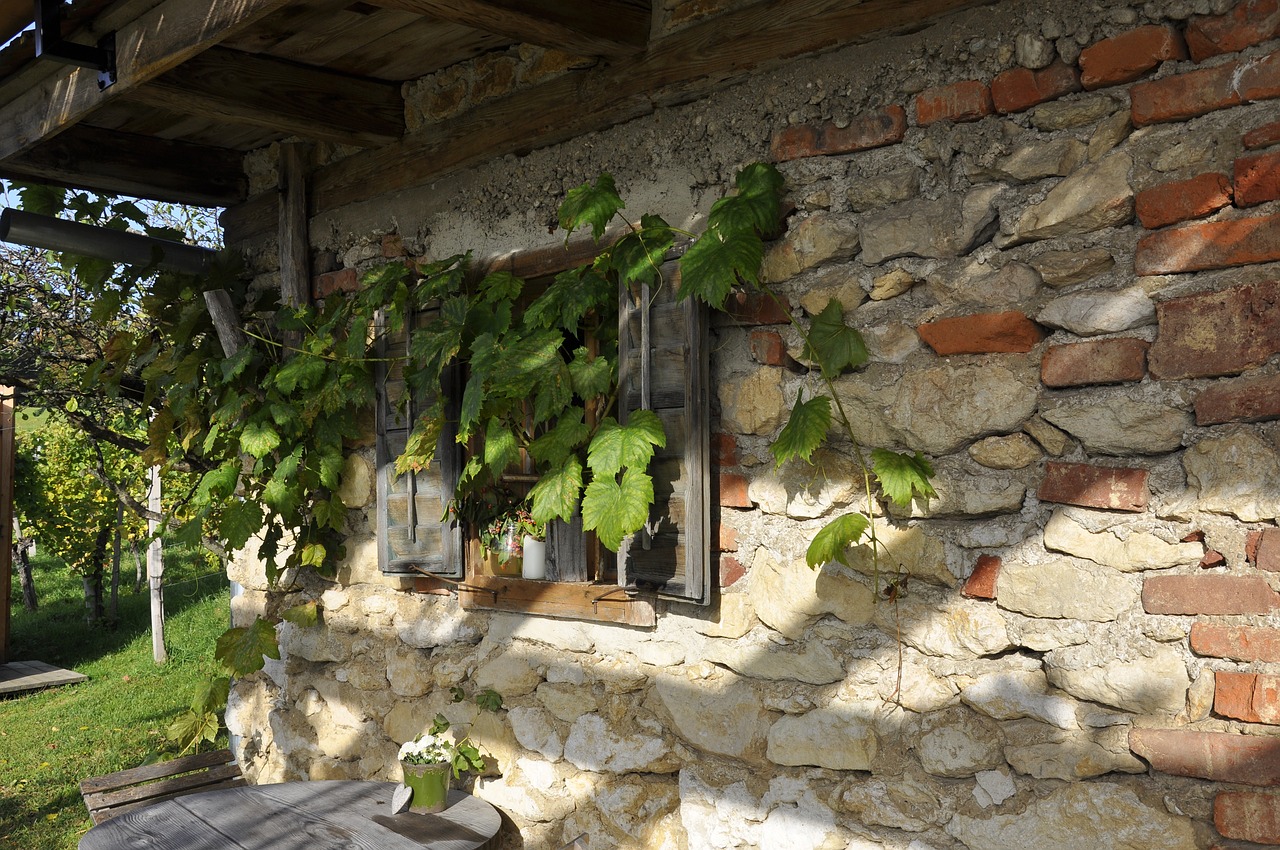 southern styria wine autumn free photo