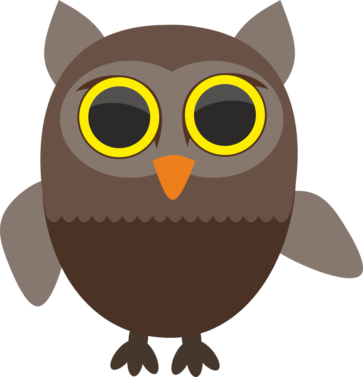 sowa owls bird free photo