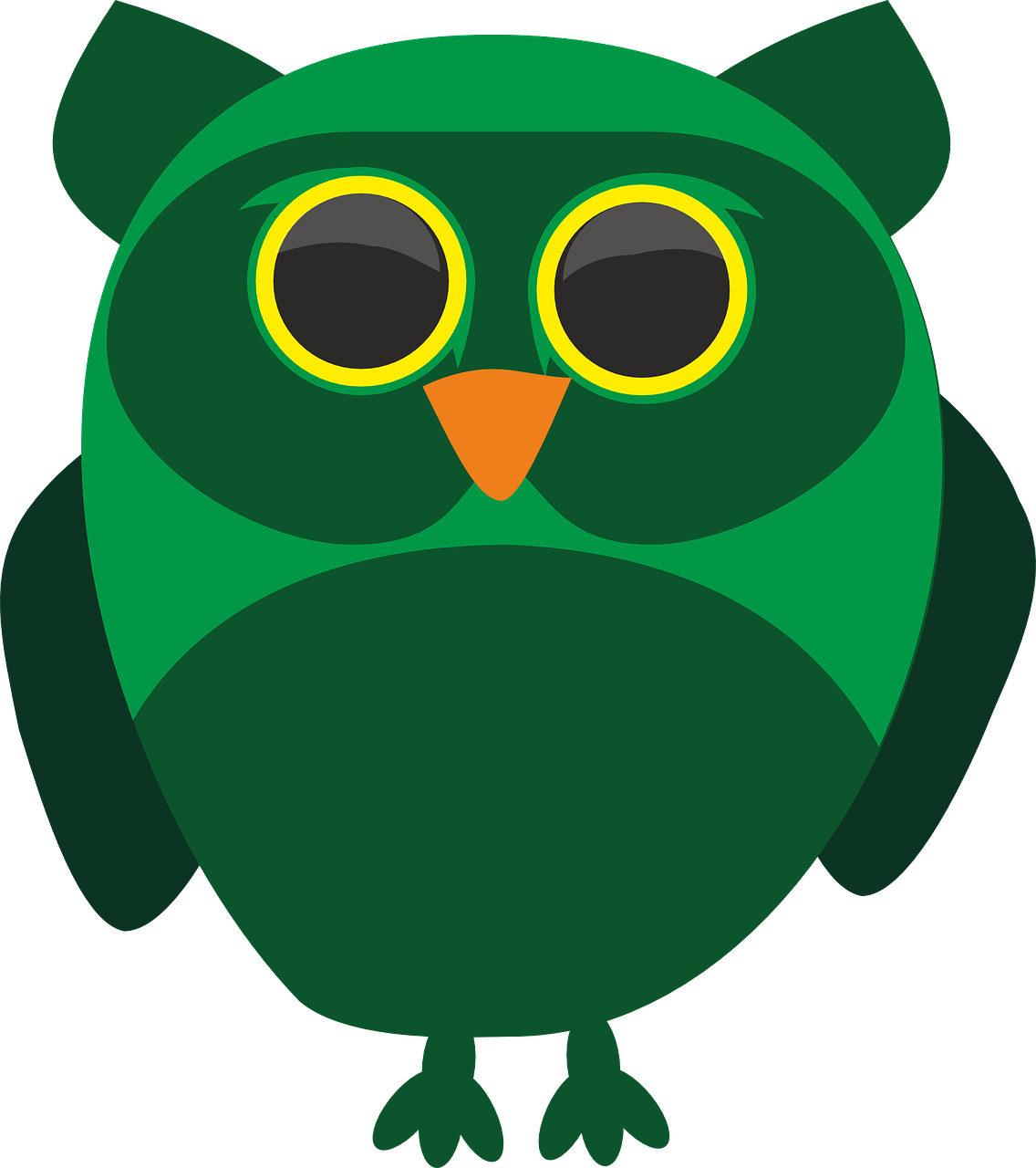 sowa owls bird free photo