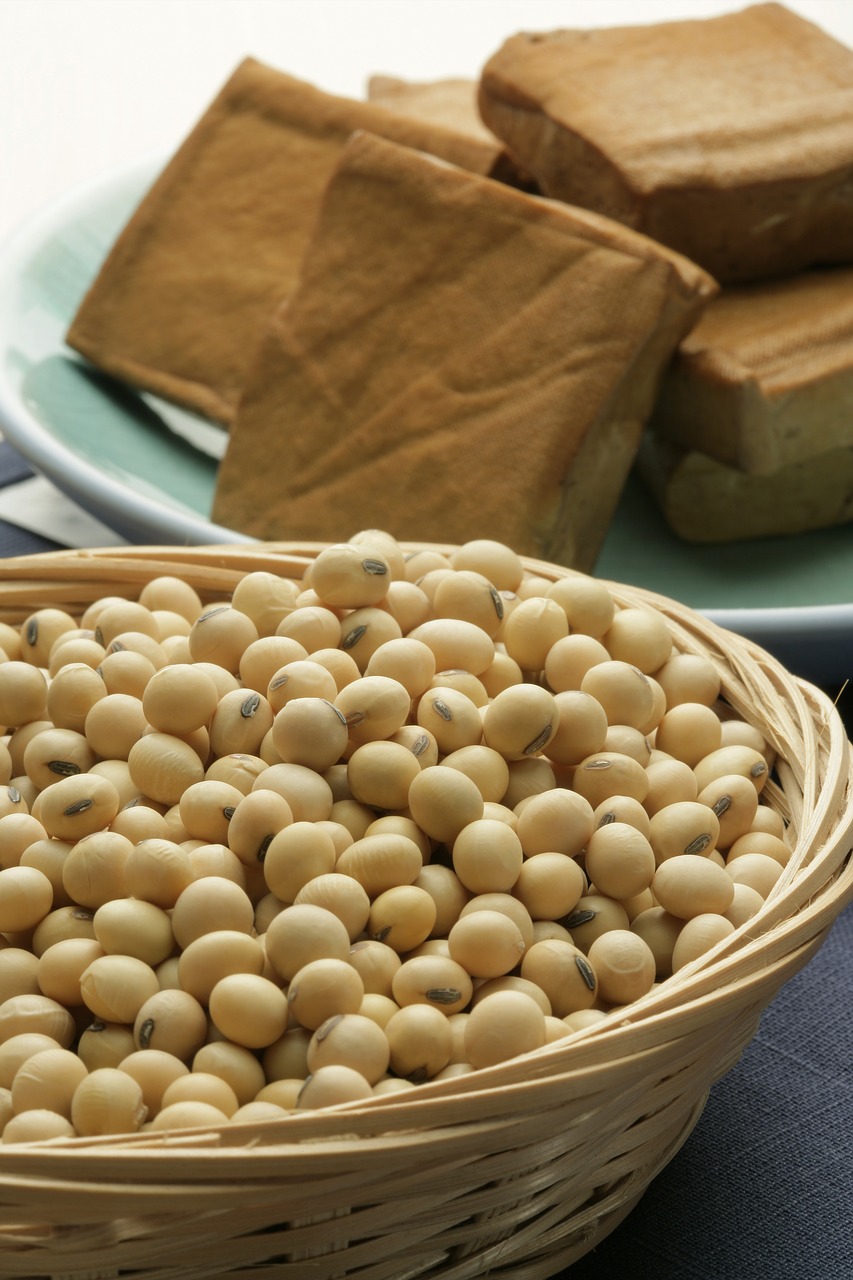 soybean coarse cereals grains free photo
