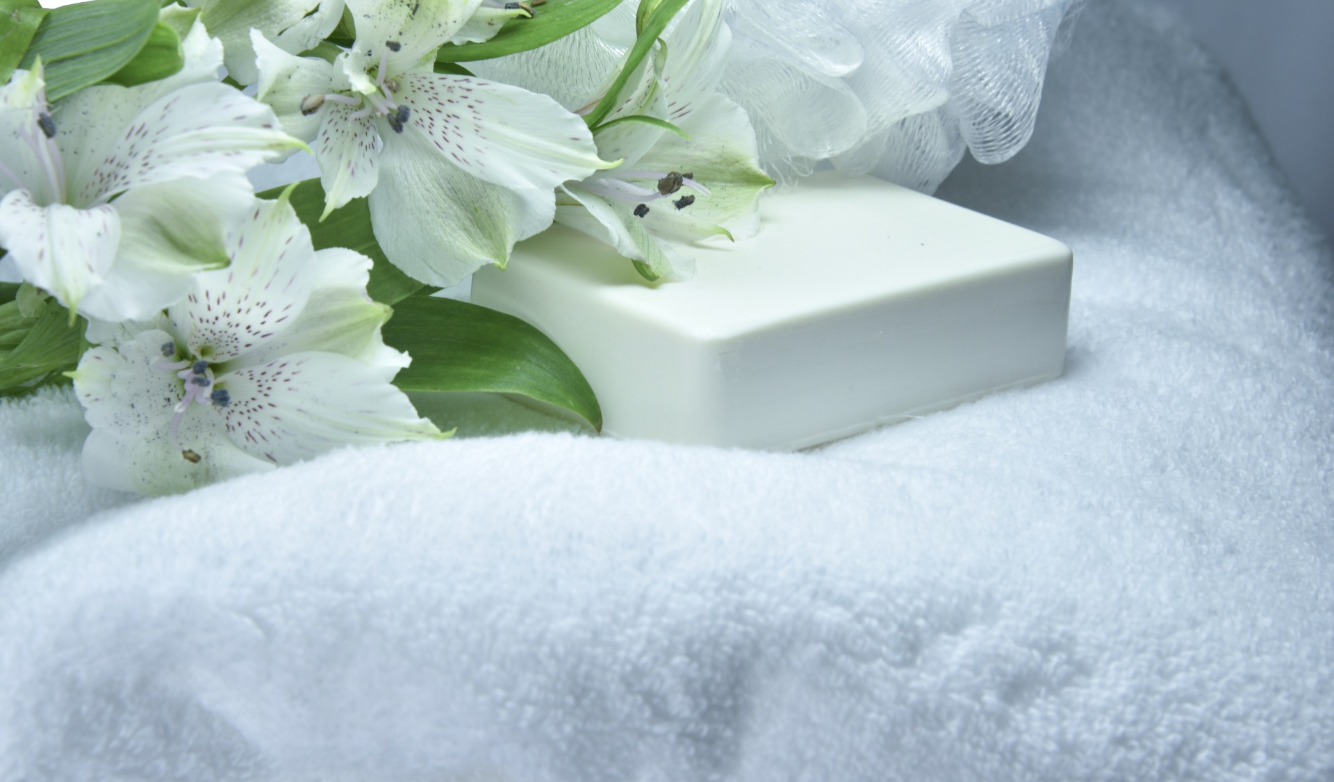 spa soap towel free photo