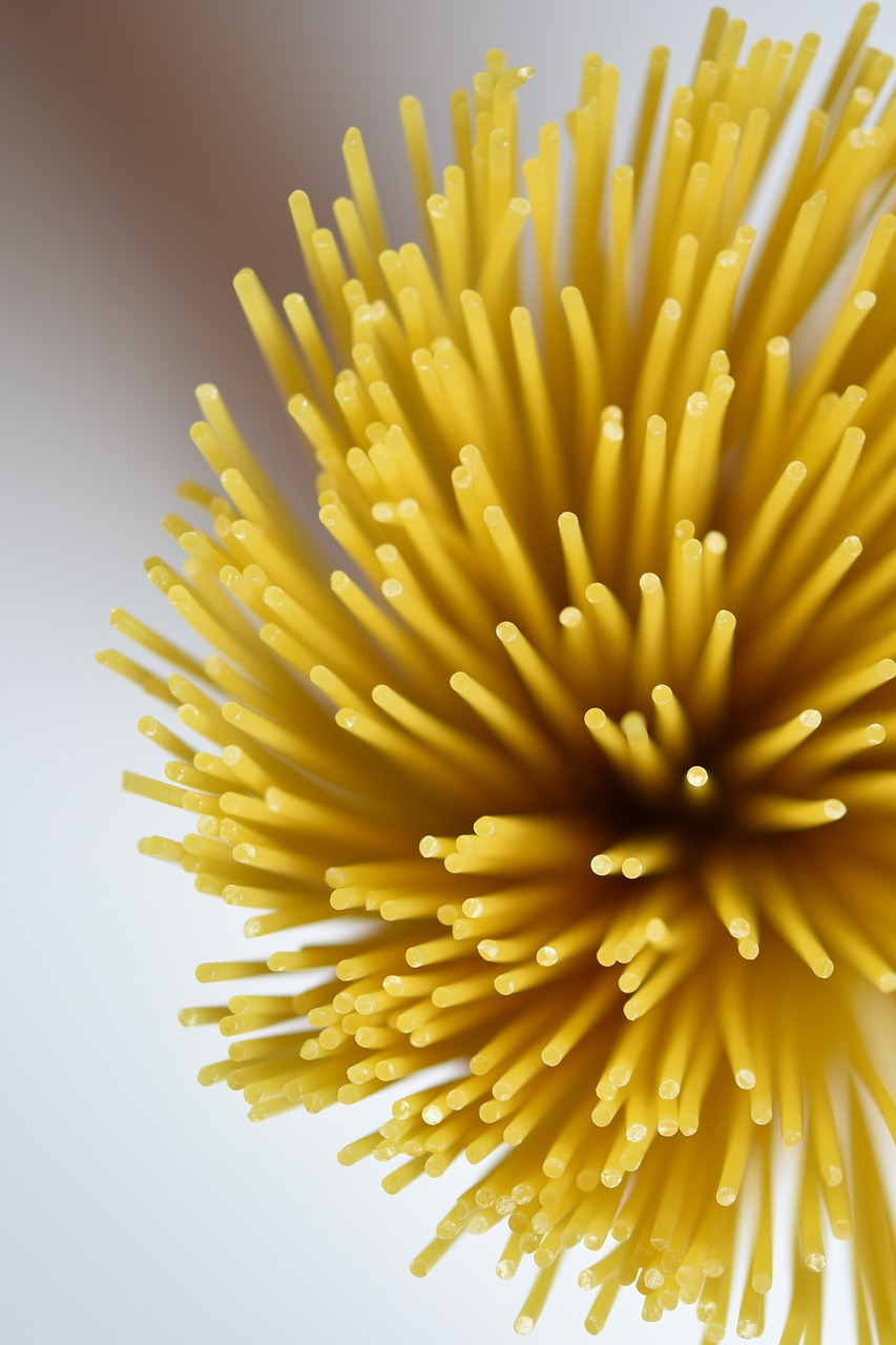spagetti blur macro free photo