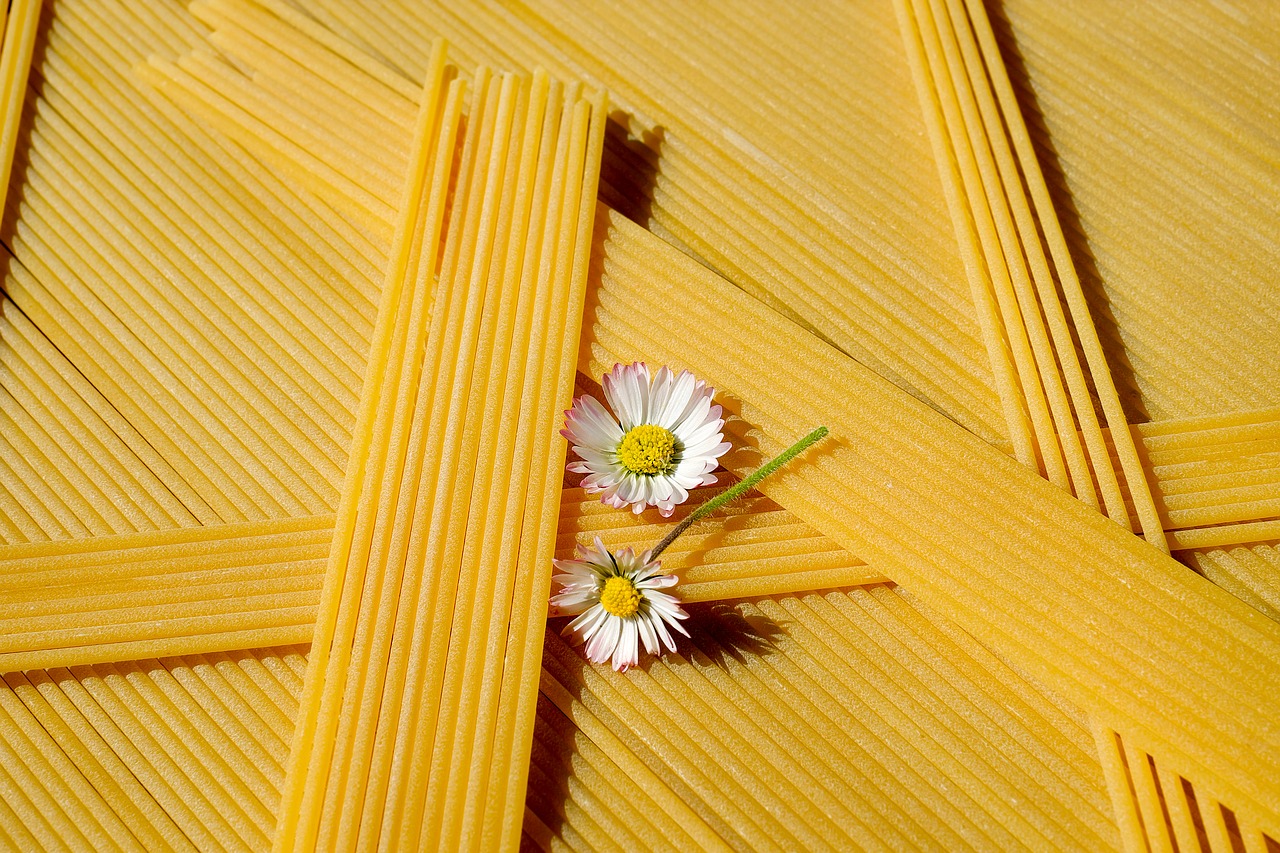 spaghetti noodles pasta free photo