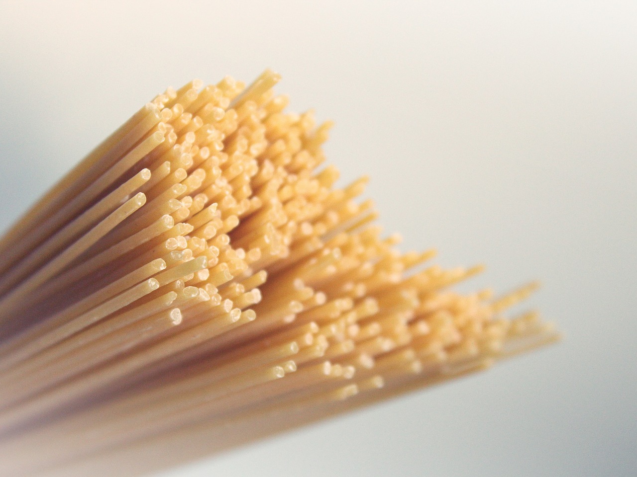 spaghetti pasta noodles free photo