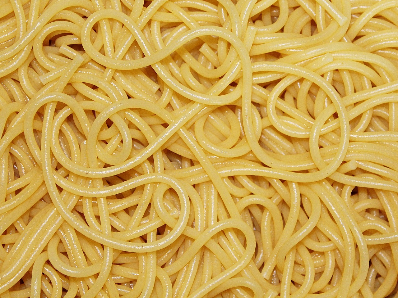 spaghetti pasta noodles free photo